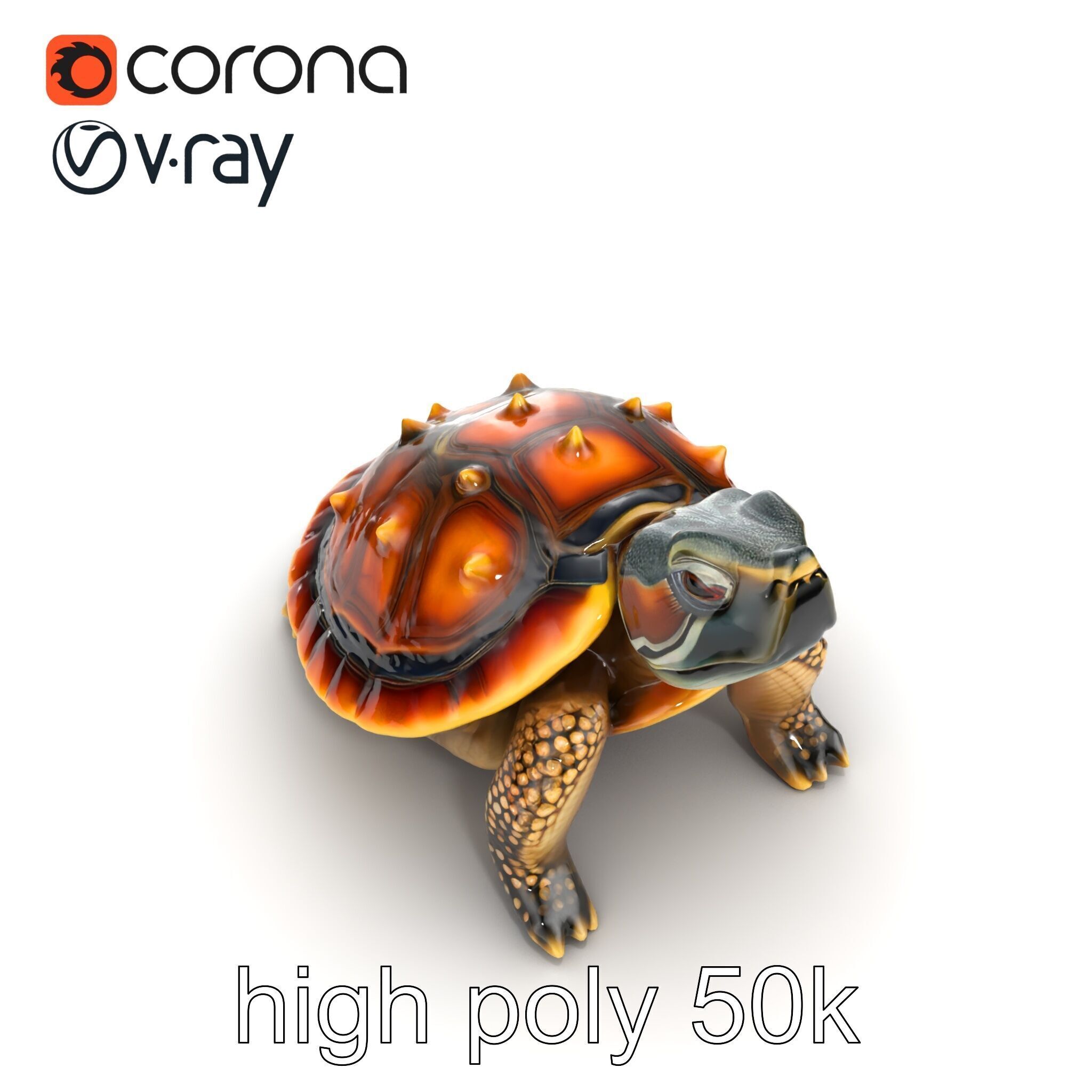 Spiny Softshell Turtle Detailed D Model Pack Low-poly 3D model_29