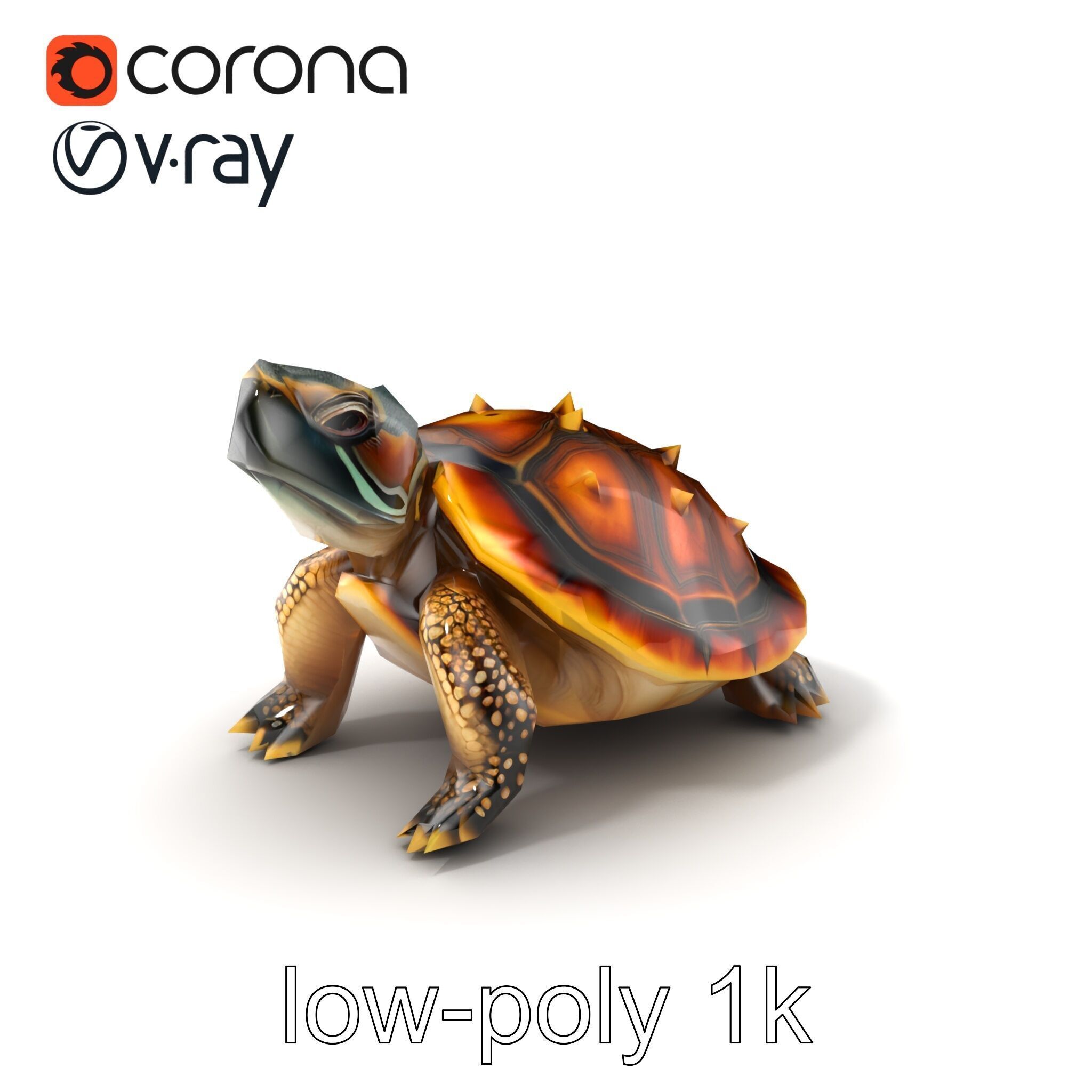 Spiny Softshell Turtle Detailed D Model Pack Low-poly 3D model_5