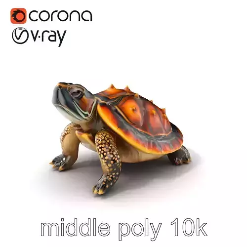 Spiny Softshell Turtle Detailed D Model Pack Low-poly 3D model