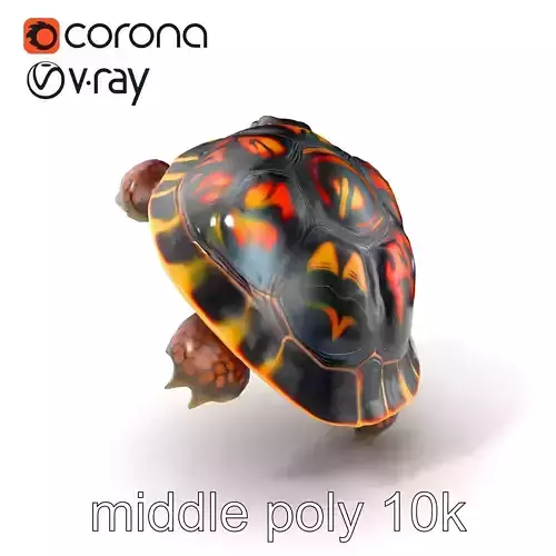 Western Painted Turtle Vibrant Shell model pack Low-poly 3D model