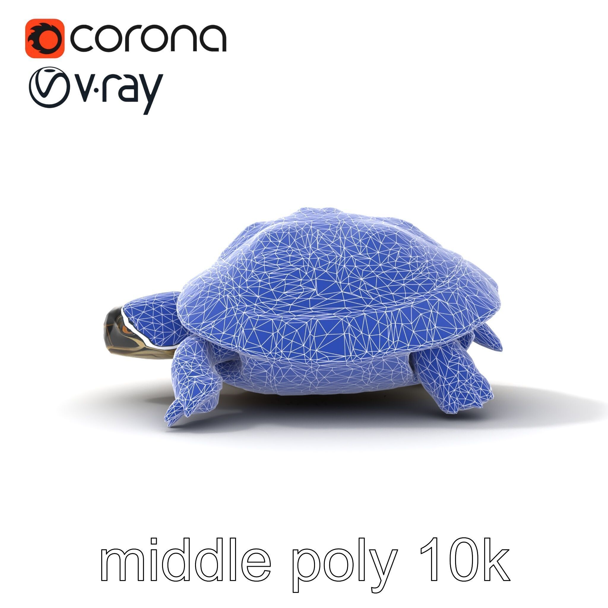 Chinese ThreeKeeled Turtle Realistic model pack Low-poly 3D model_23
