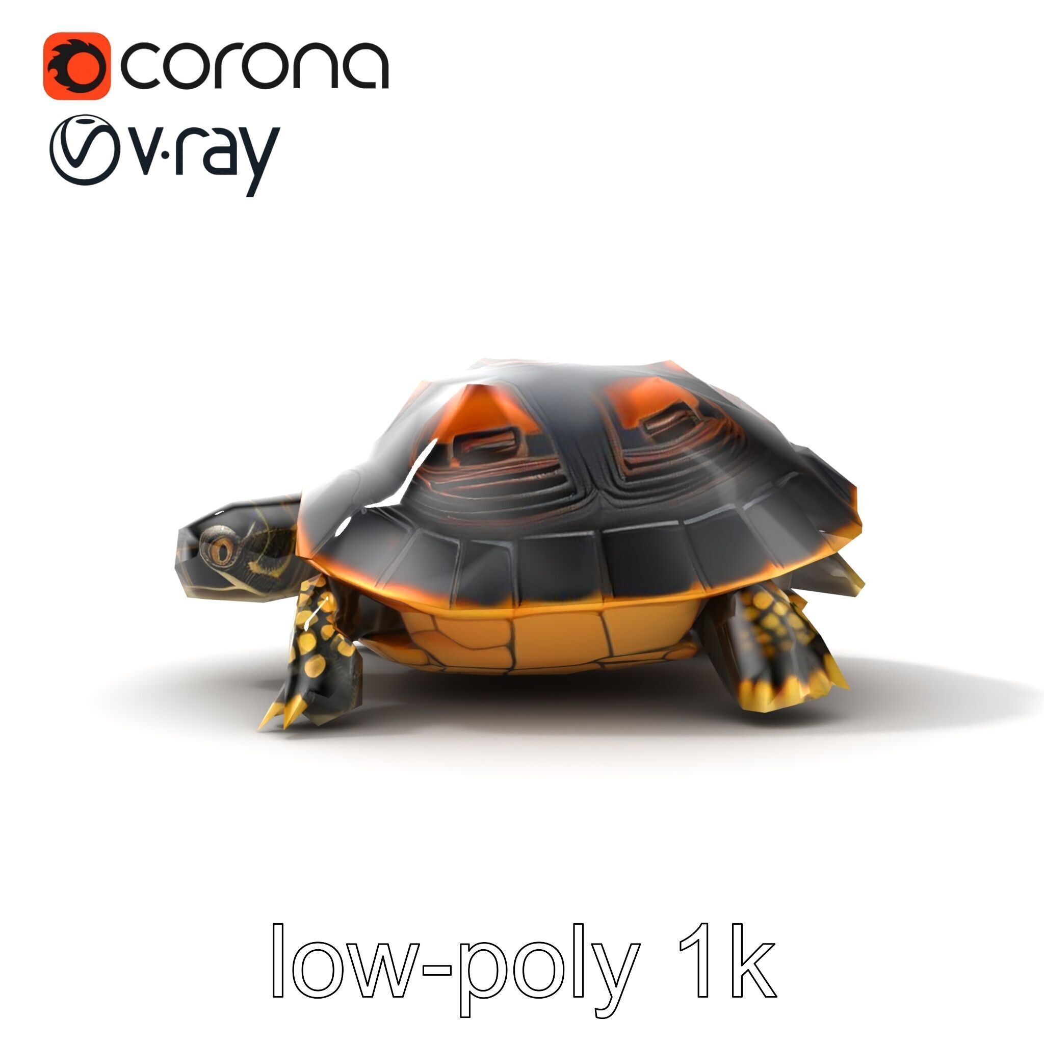 Chinese ThreeKeeled Turtle Realistic model pack Low-poly 3D model_13