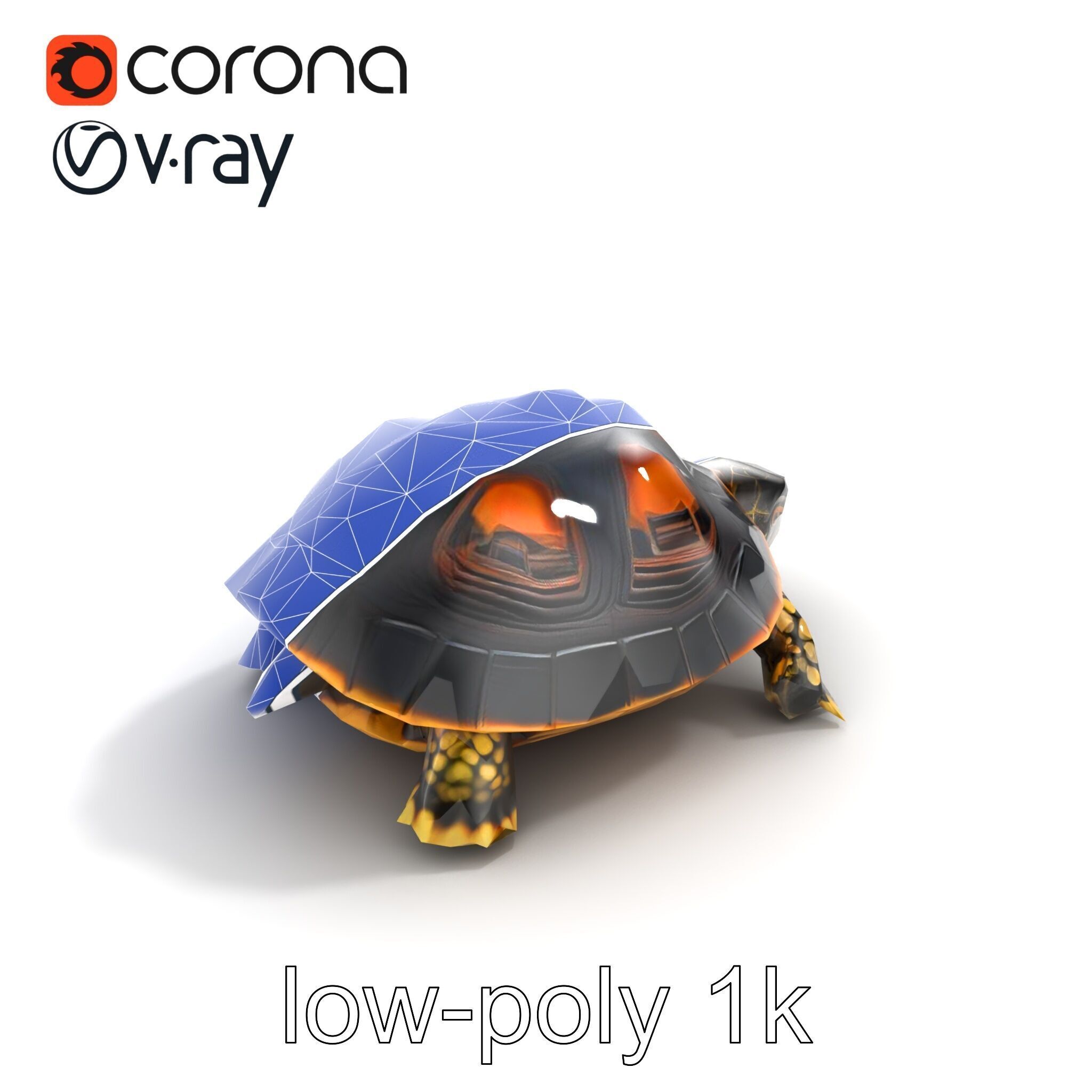 Chinese ThreeKeeled Turtle Realistic model pack Low-poly 3D model_27