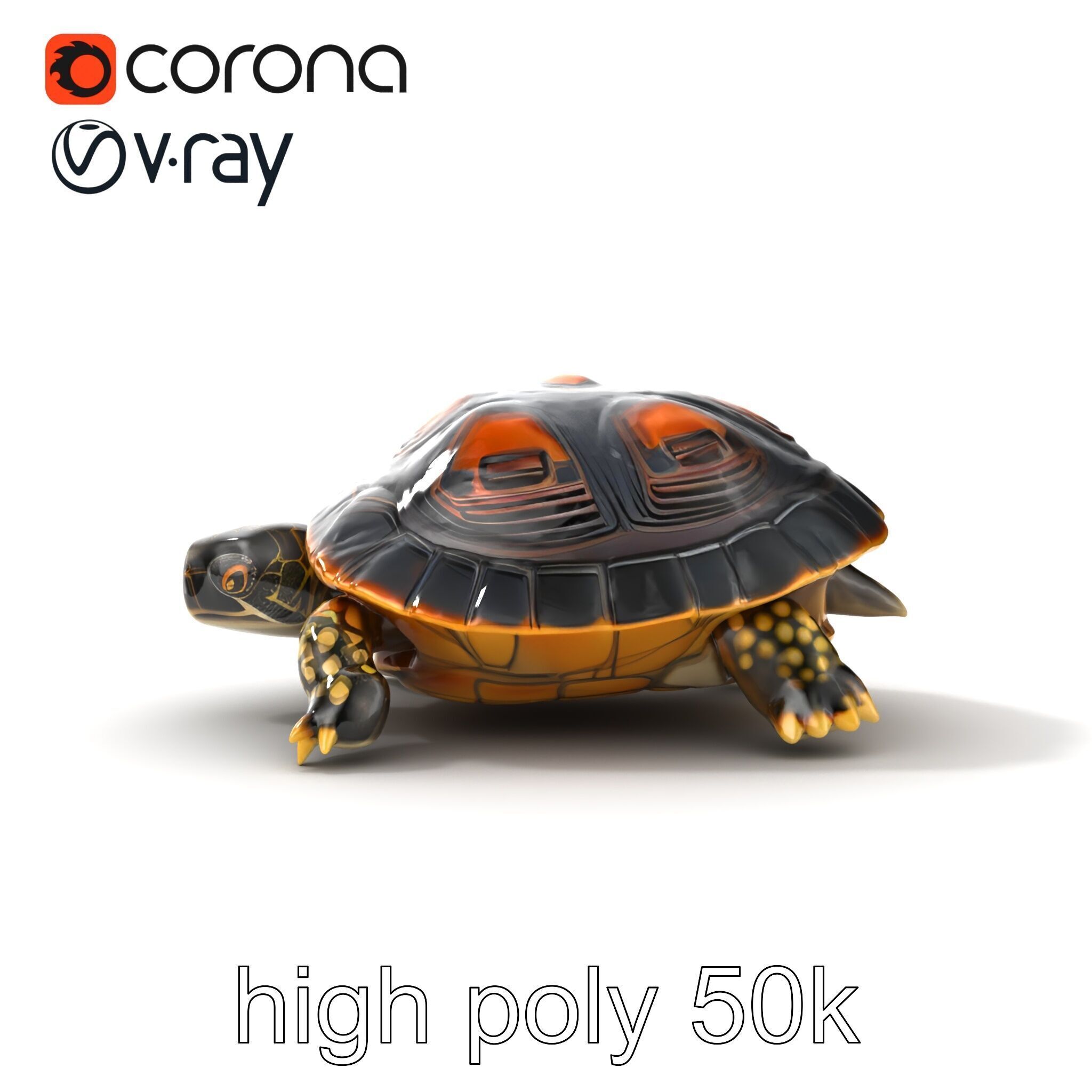 Chinese ThreeKeeled Turtle Realistic model pack Low-poly 3D model_20