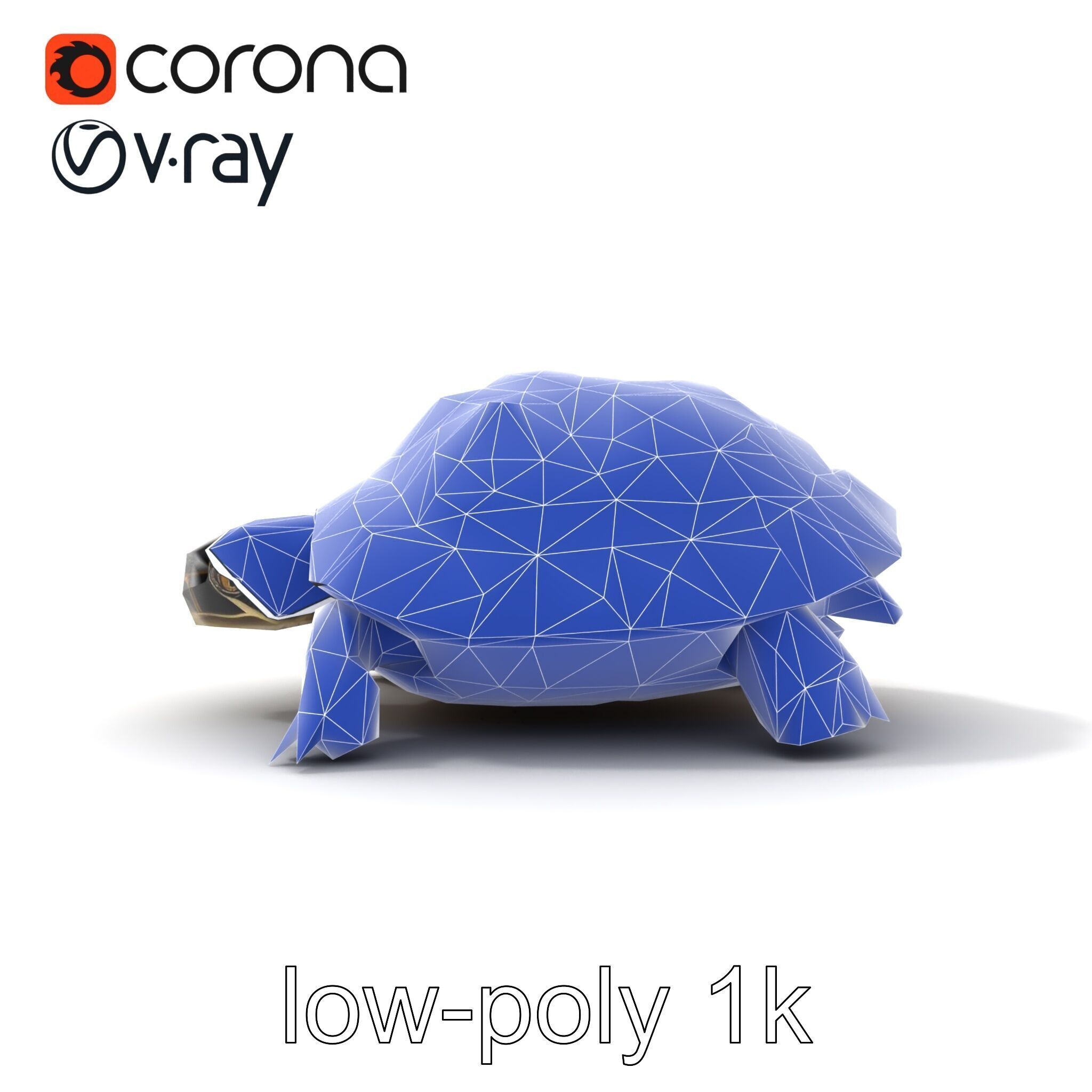 Chinese ThreeKeeled Turtle Realistic model pack Low-poly 3D model_24