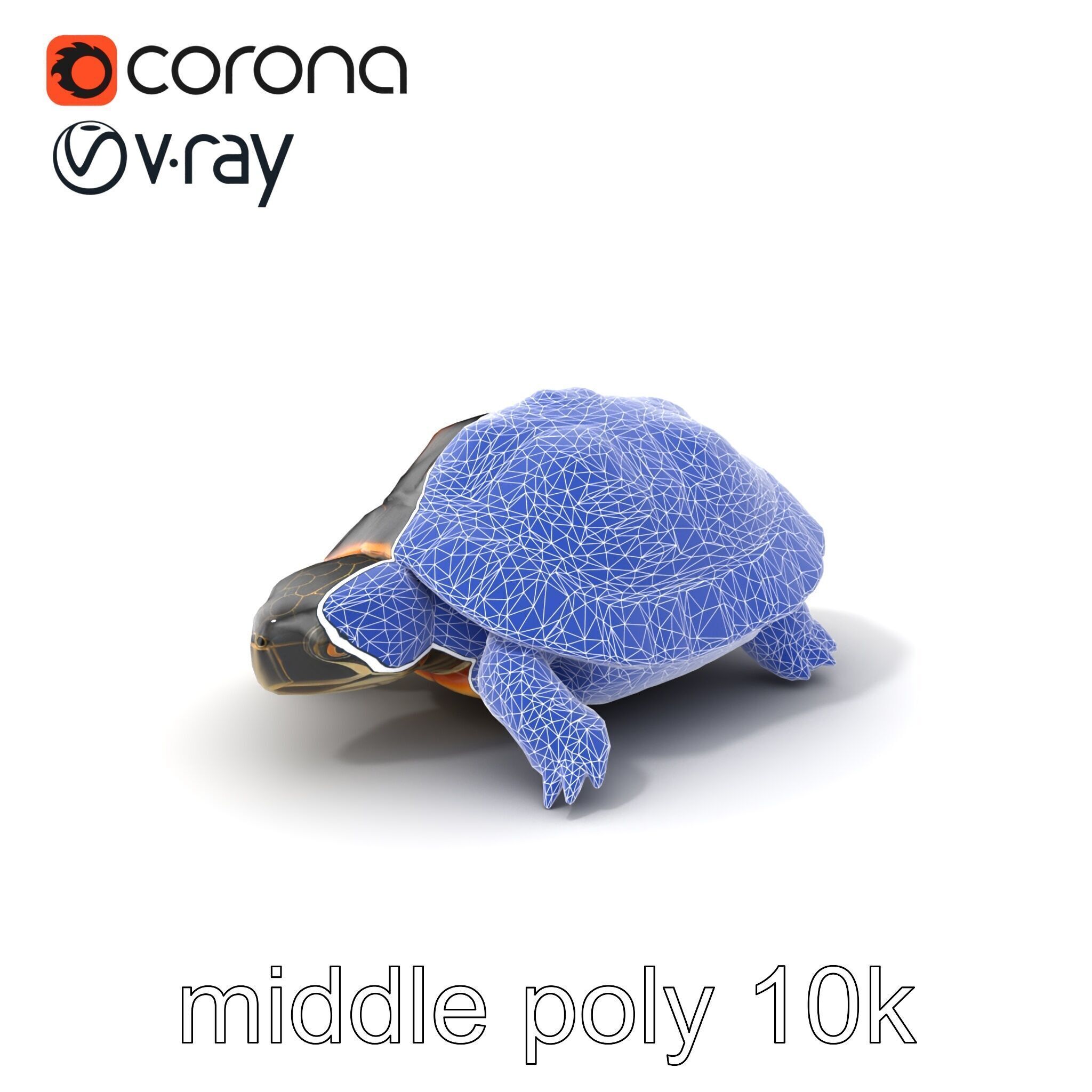 Chinese ThreeKeeled Turtle Realistic model pack Low-poly 3D model_6