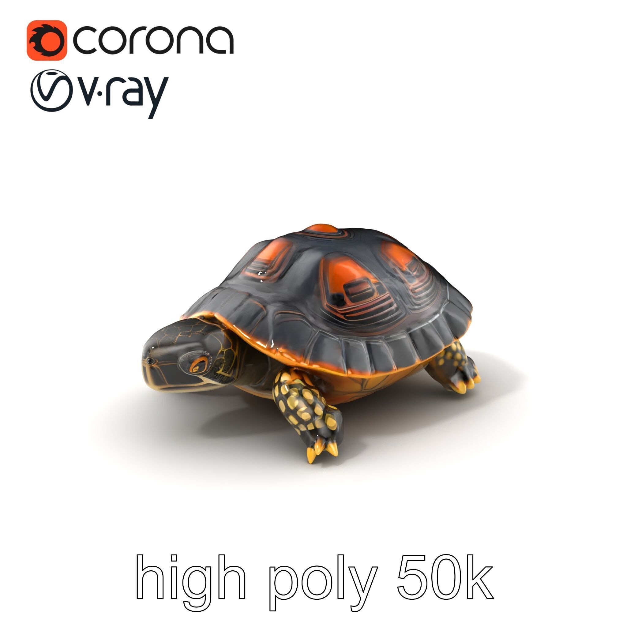 Chinese ThreeKeeled Turtle Realistic model pack Low-poly 3D model_2