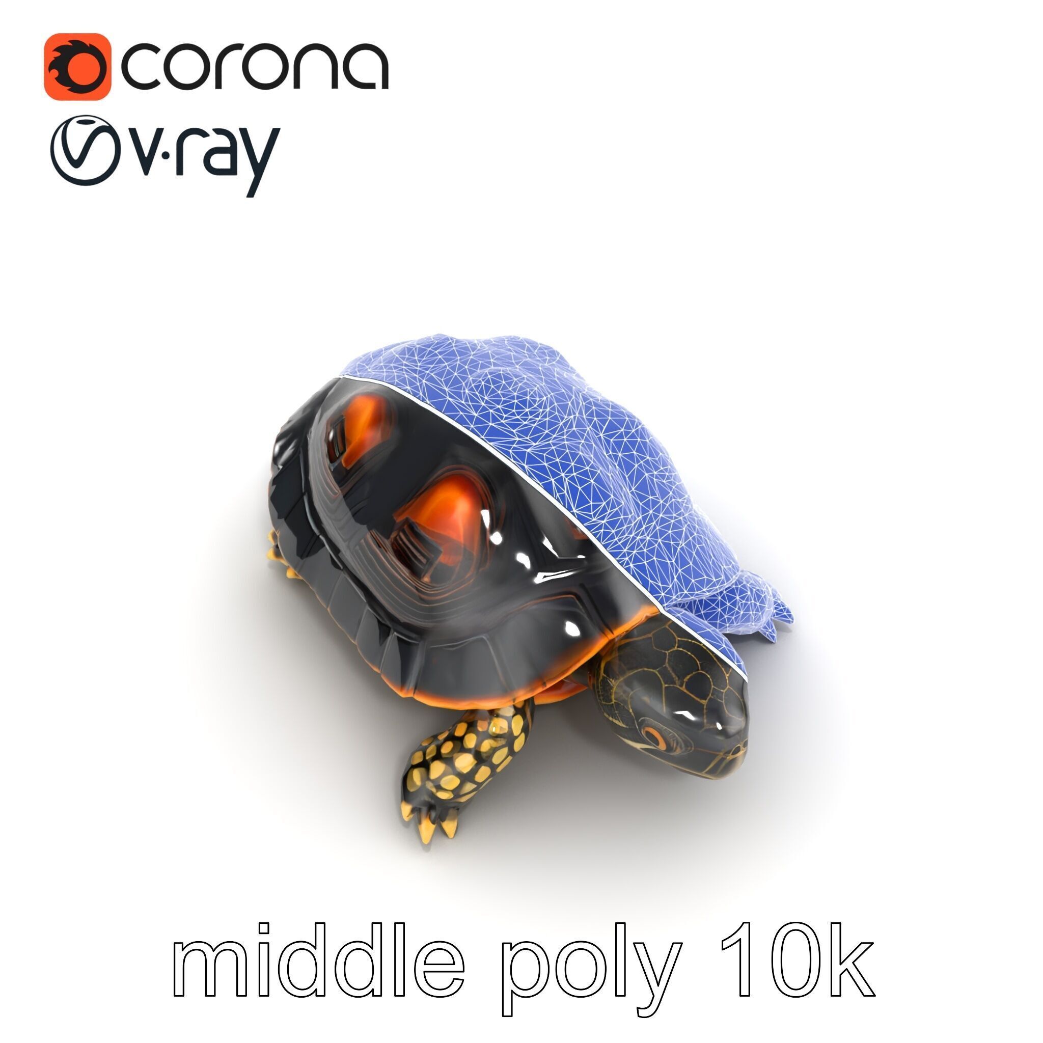 Chinese ThreeKeeled Turtle Realistic model pack Low-poly 3D model_26