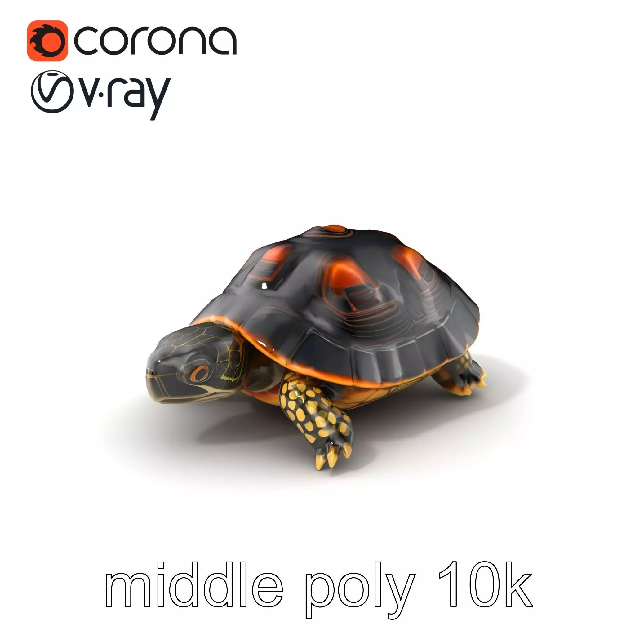 Chinese ThreeKeeled Turtle Realistic model pack Low-poly 3D model_0