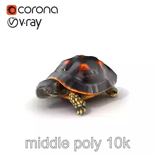 Chinese ThreeKeeled Turtle Realistic model pack Low-poly 3D model