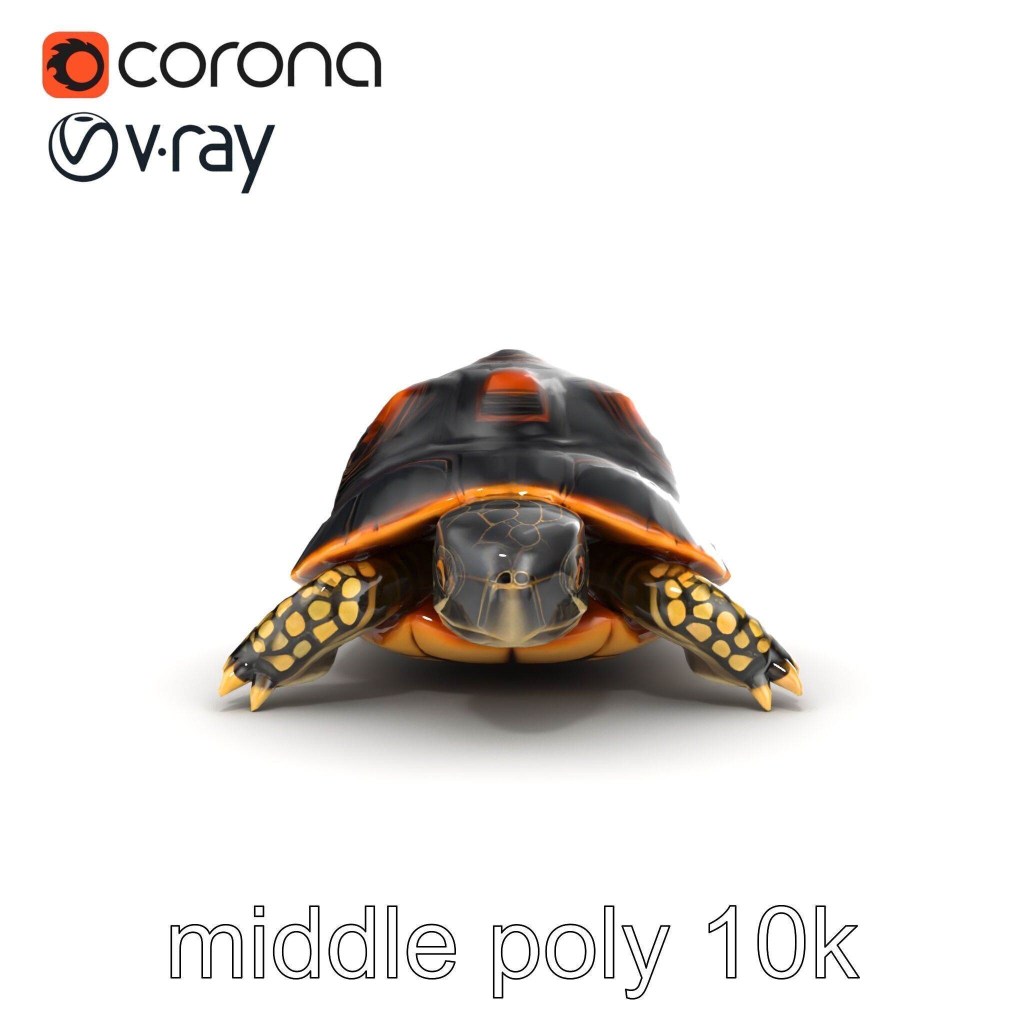 Chinese ThreeKeeled Turtle Realistic model pack Low-poly 3D model_29