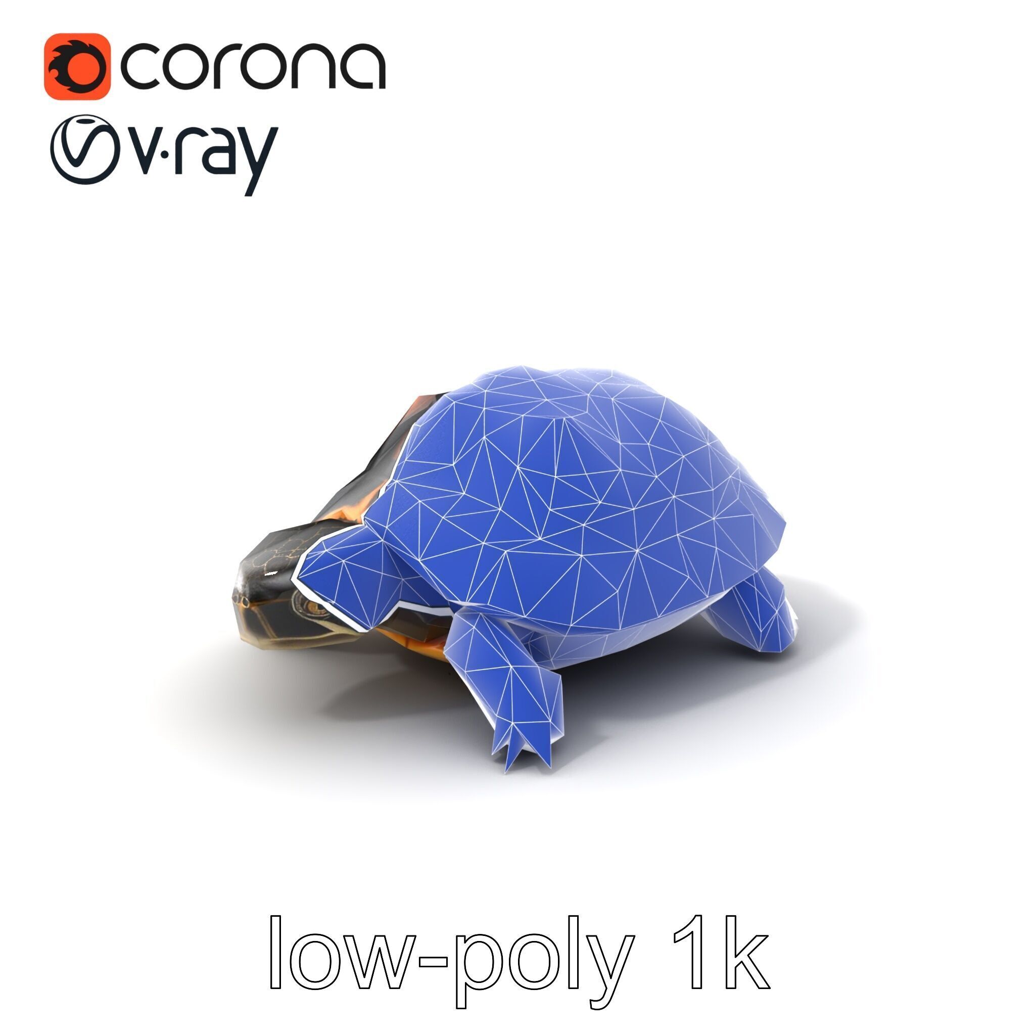 Chinese ThreeKeeled Turtle Realistic model pack Low-poly 3D model_7
