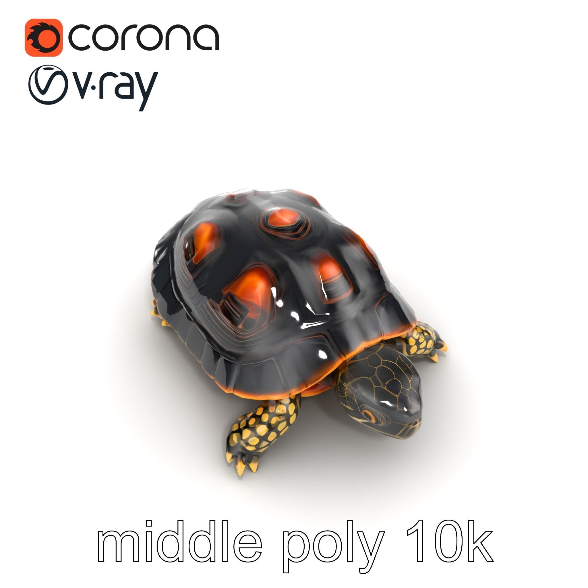 Chinese ThreeKeeled Turtle Realistic model pack Low-poly 3D model_21