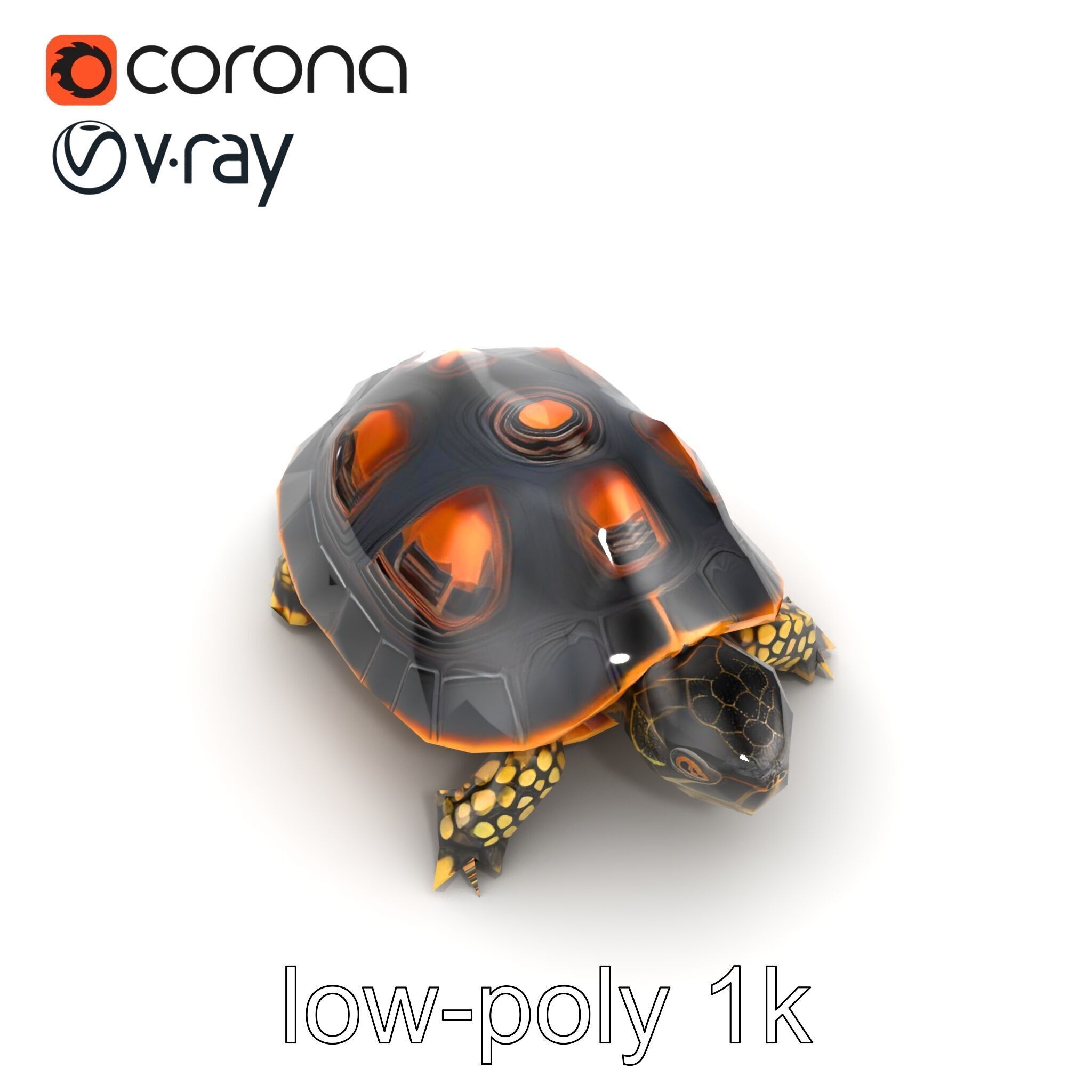 Chinese ThreeKeeled Turtle Realistic model pack Low-poly 3D model_12