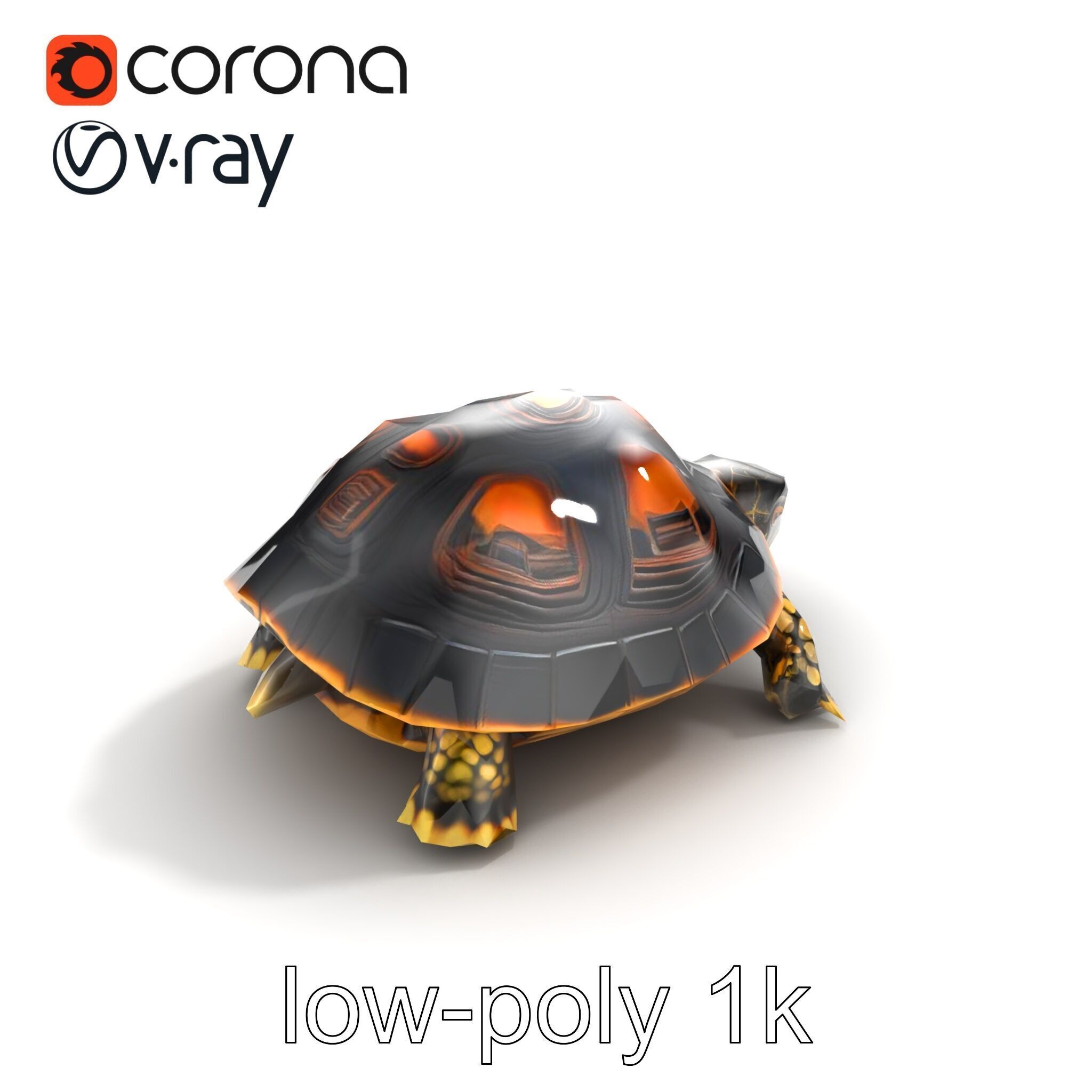 Chinese ThreeKeeled Turtle Realistic model pack Low-poly 3D model_9