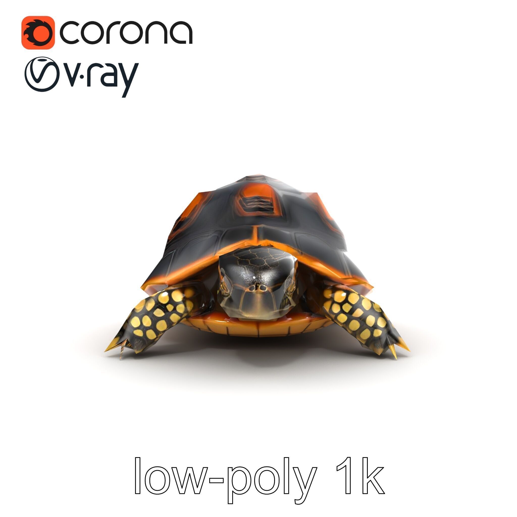 Chinese ThreeKeeled Turtle Realistic model pack Low-poly 3D model_18