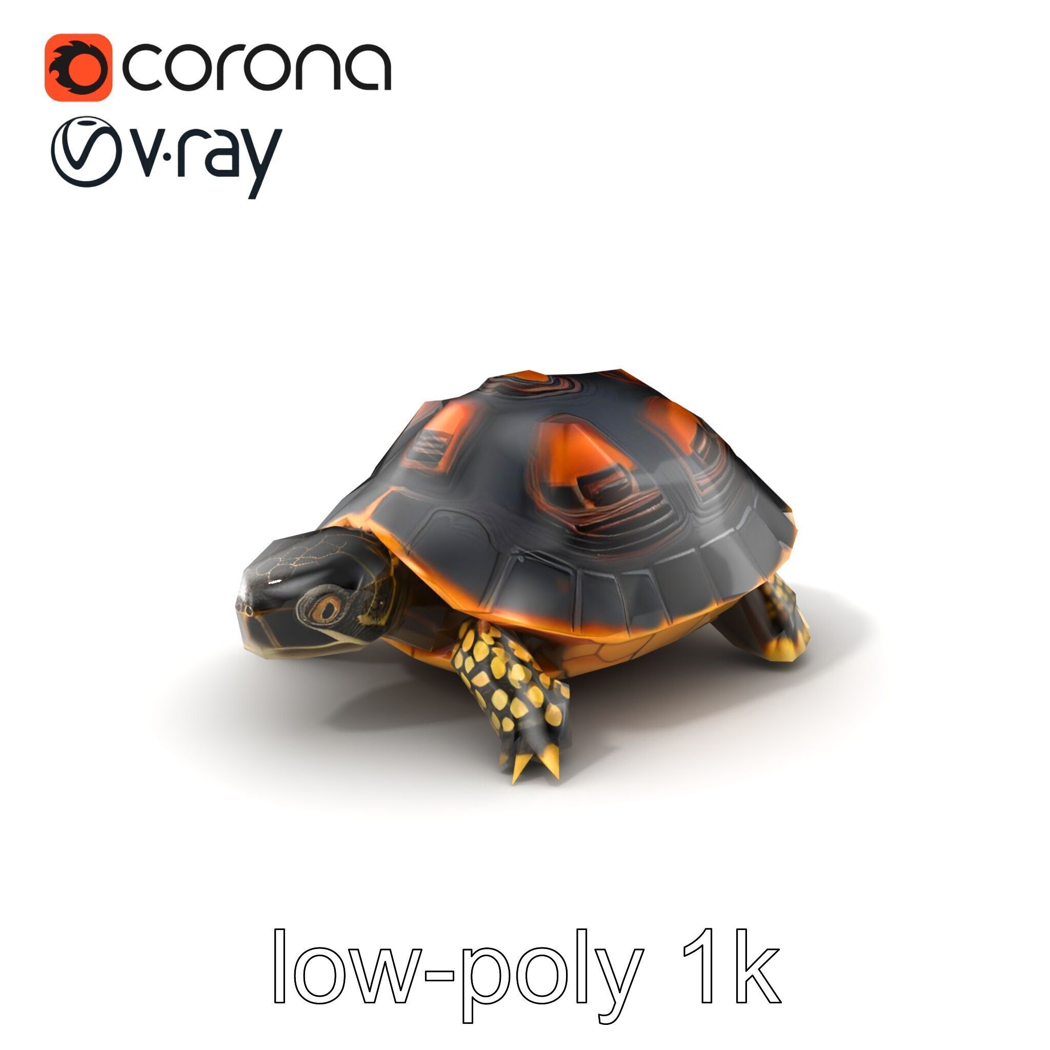 Chinese ThreeKeeled Turtle Realistic model pack Low-poly 3D model_5