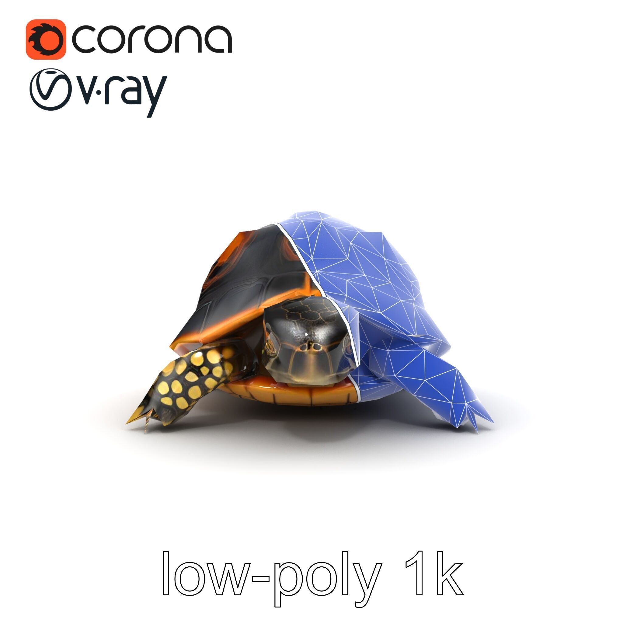 Chinese ThreeKeeled Turtle Realistic model pack Low-poly 3D model_19