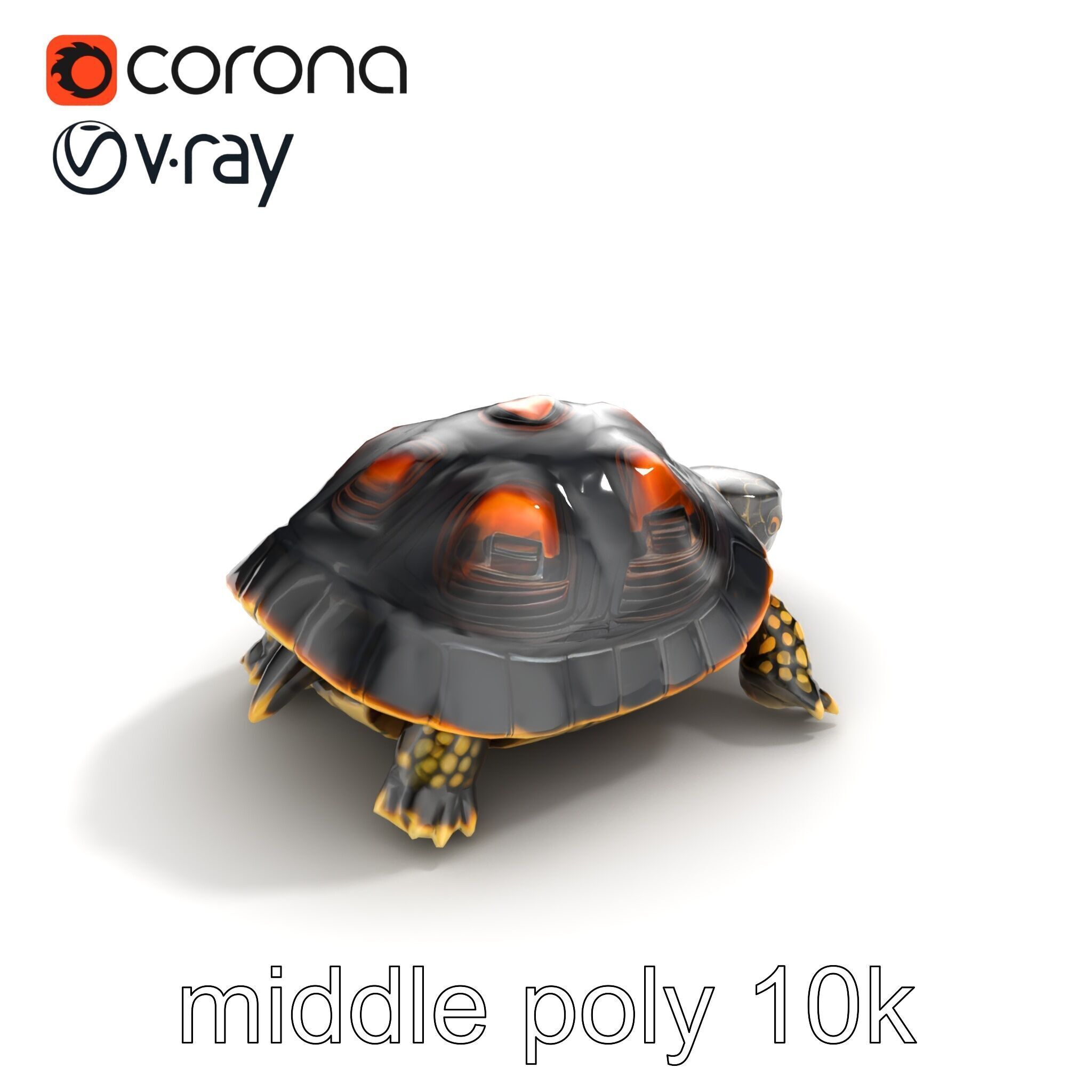 Chinese ThreeKeeled Turtle Realistic model pack Low-poly 3D model_8