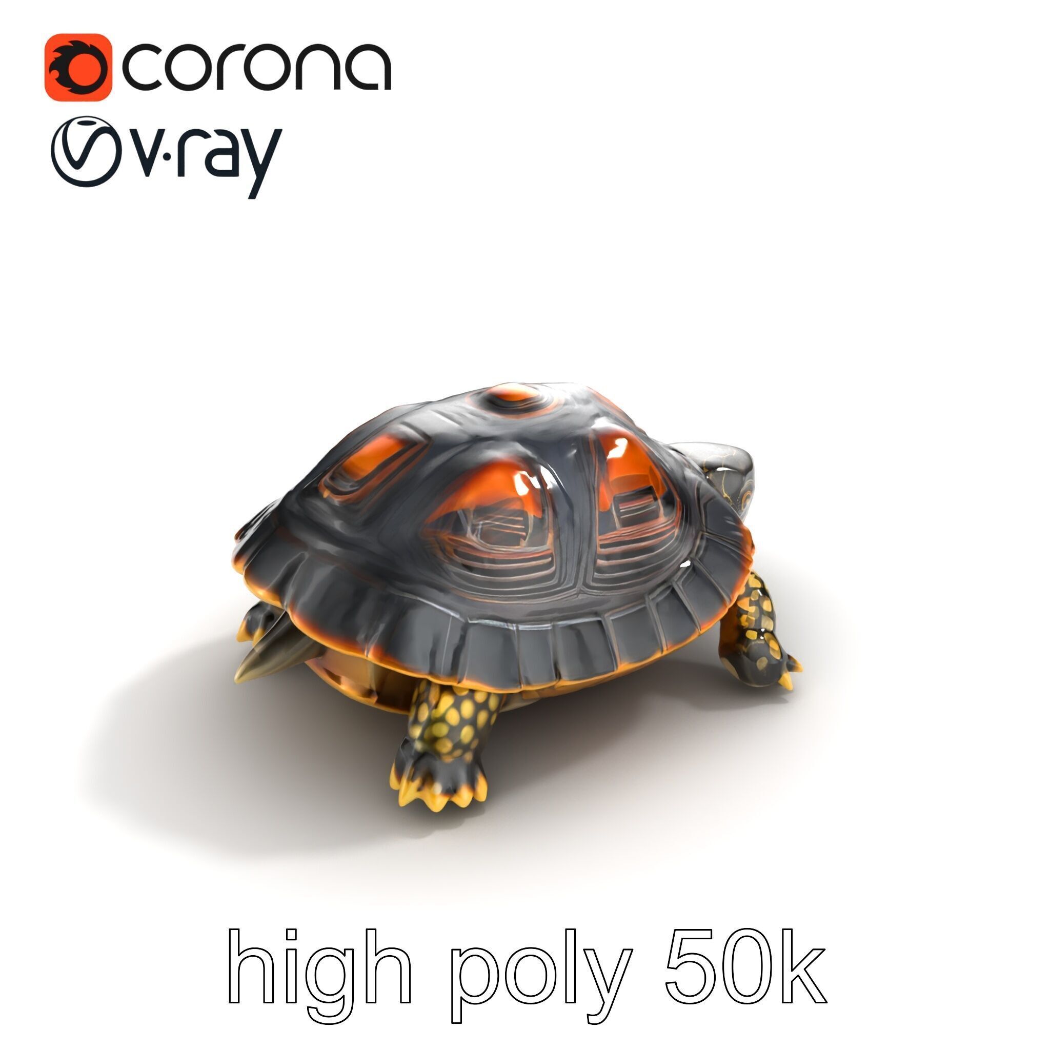 Chinese ThreeKeeled Turtle Realistic model pack Low-poly 3D model_32