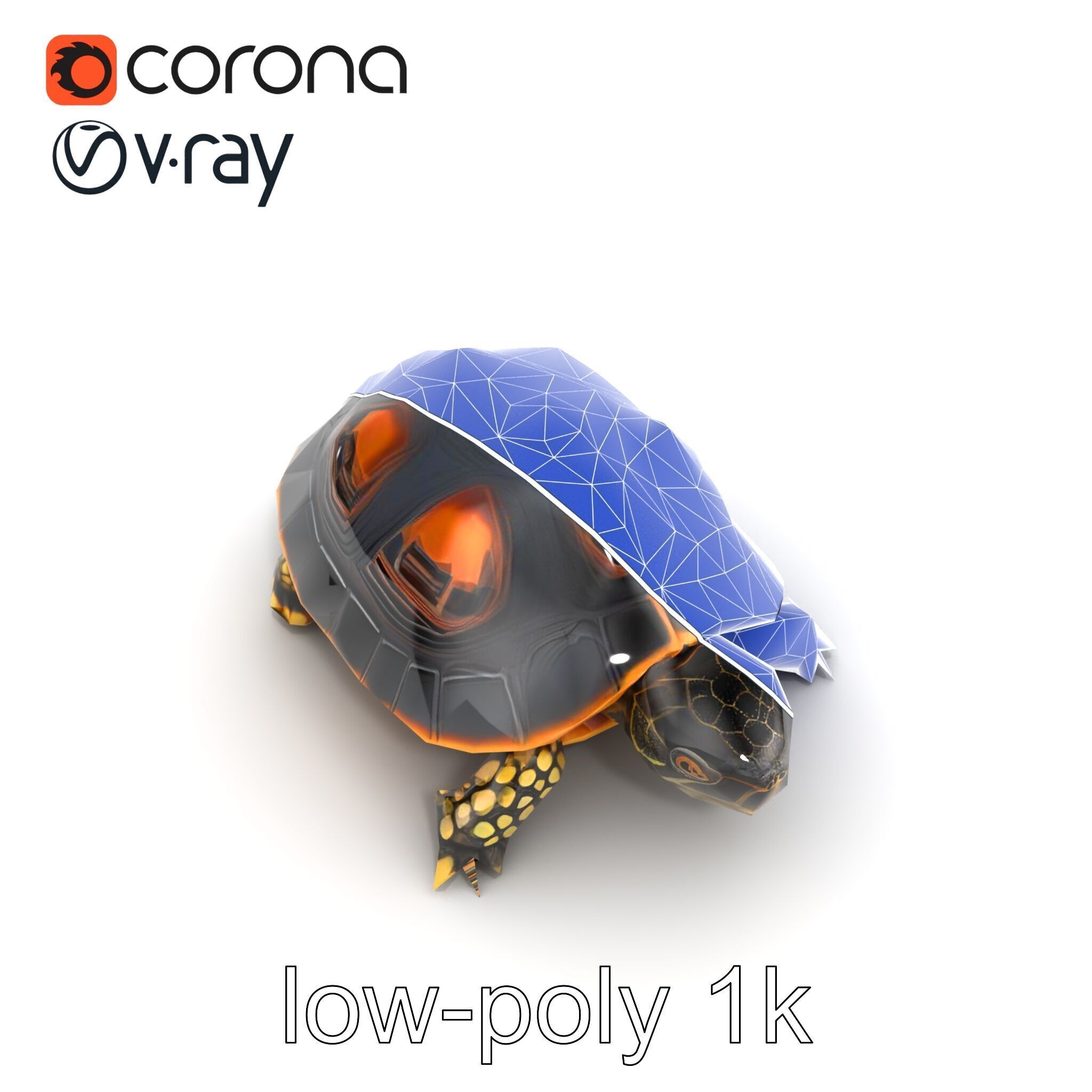 Chinese ThreeKeeled Turtle Realistic model pack Low-poly 3D model_15