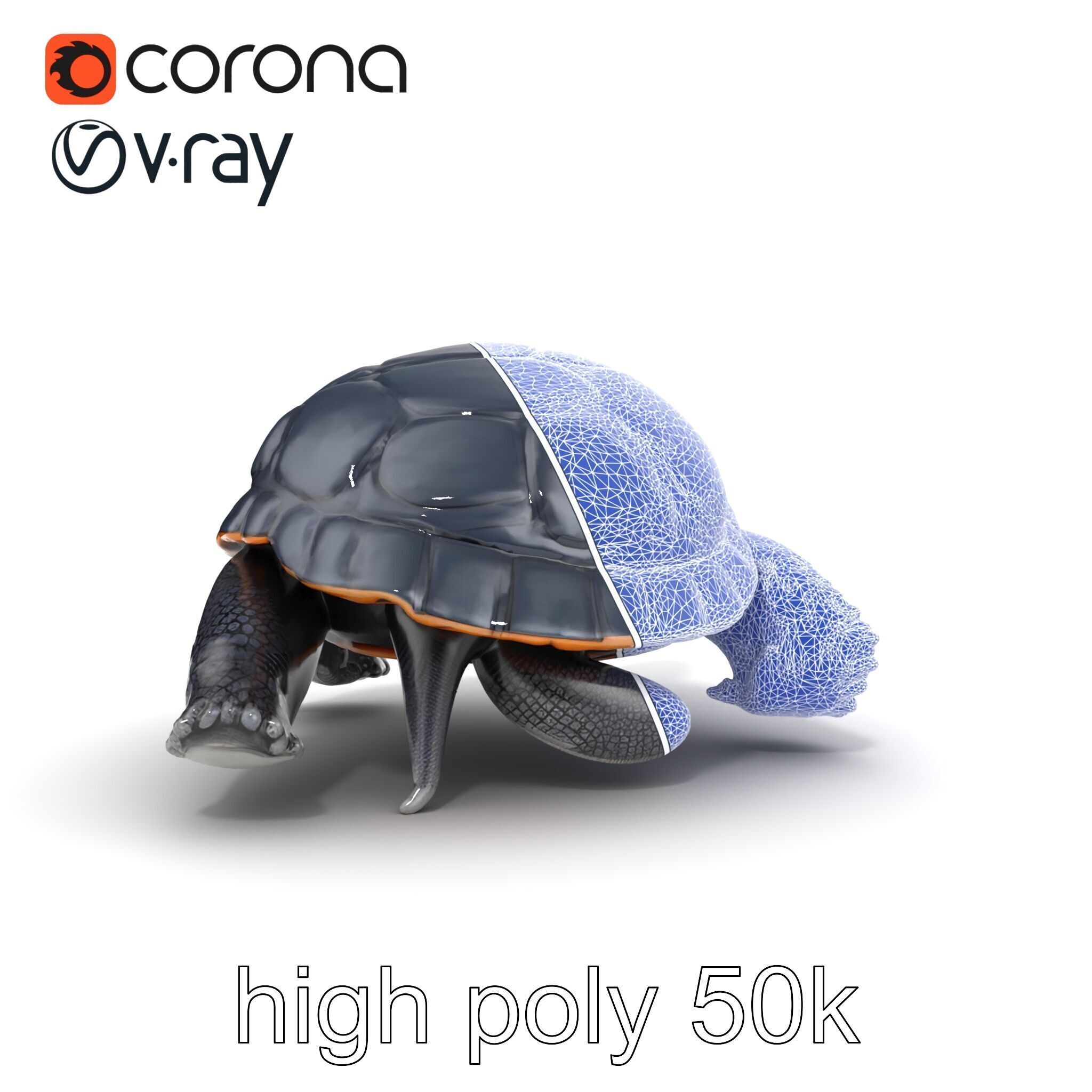 Leatherback Turtle Detailed Shell model pack Low-poly 3D model_28
