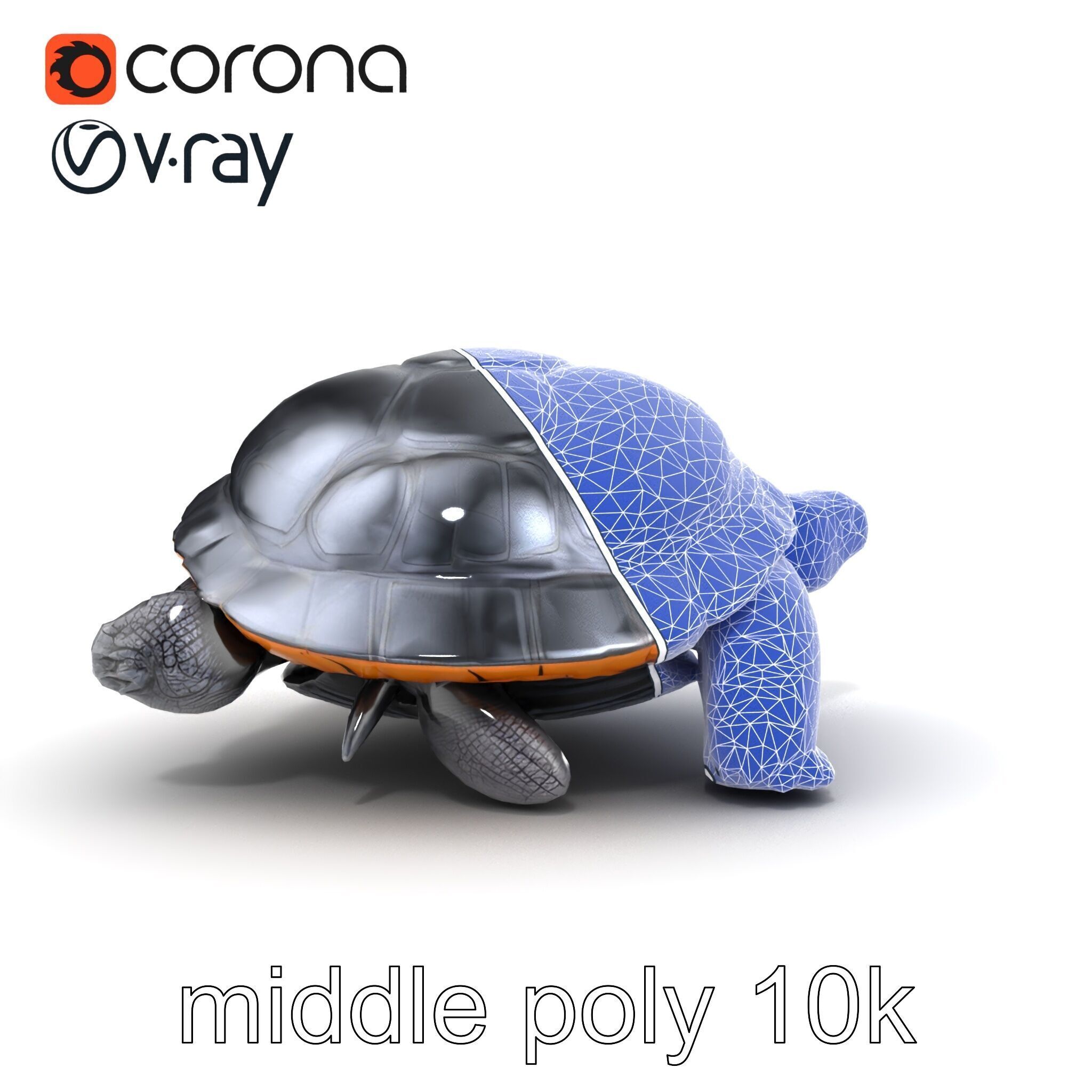 Leatherback Turtle Detailed Shell model pack Low-poly 3D model_32