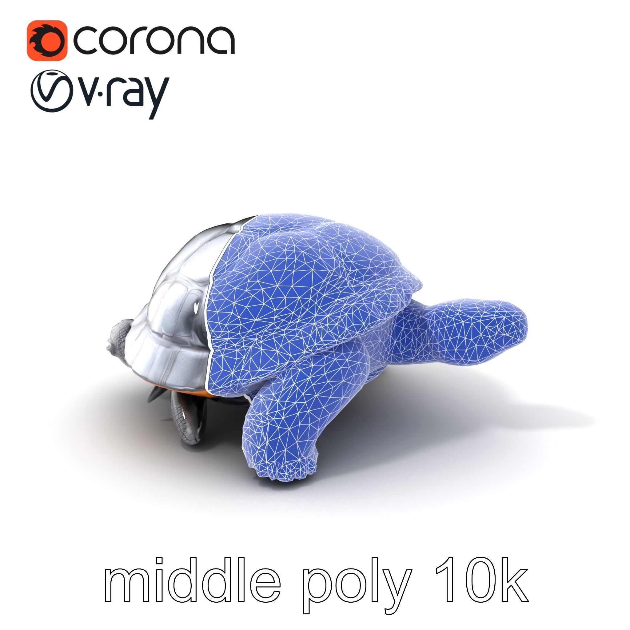 Leatherback Turtle Detailed Shell model pack Low-poly 3D model_6