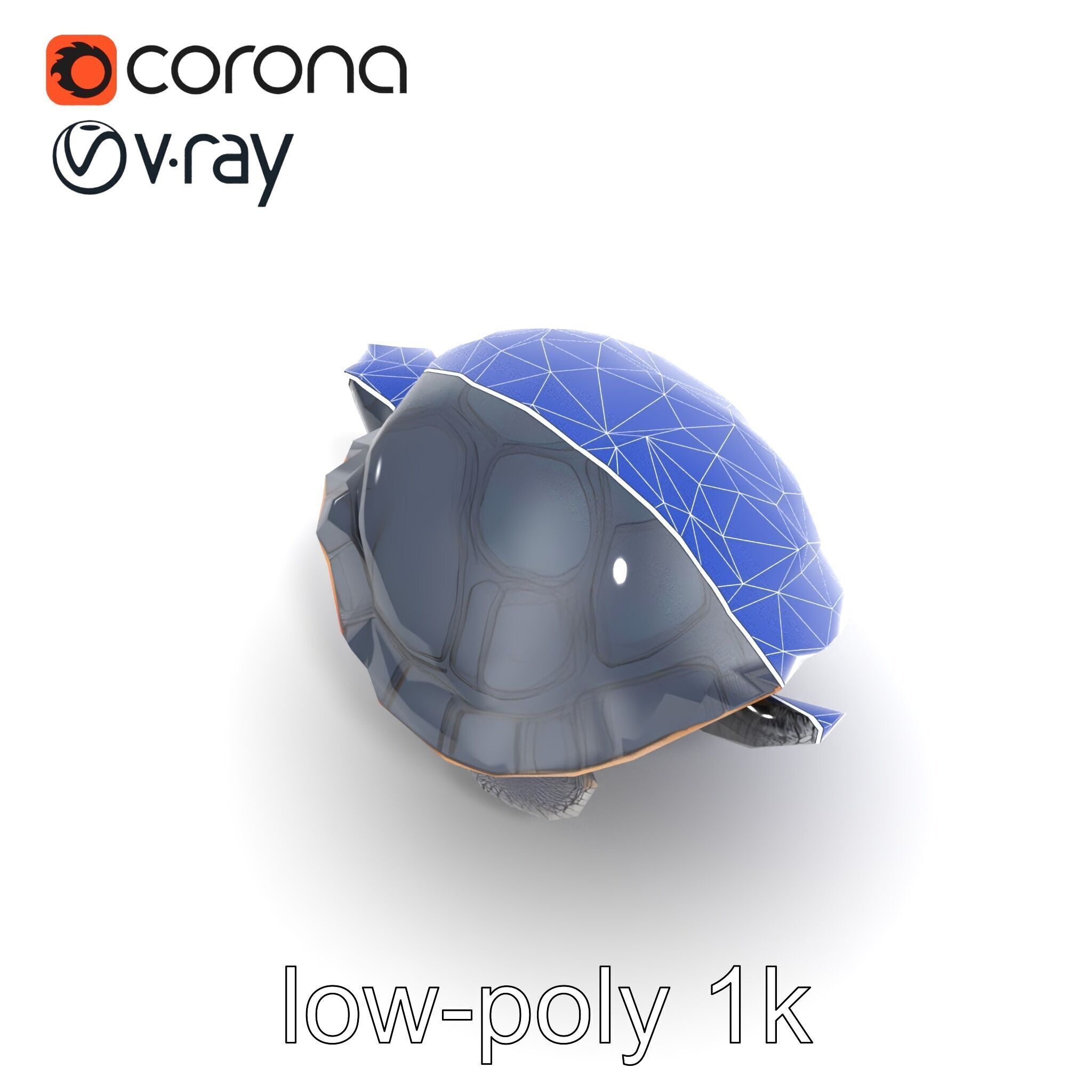 Leatherback Turtle Detailed Shell model pack Low-poly 3D model_12
