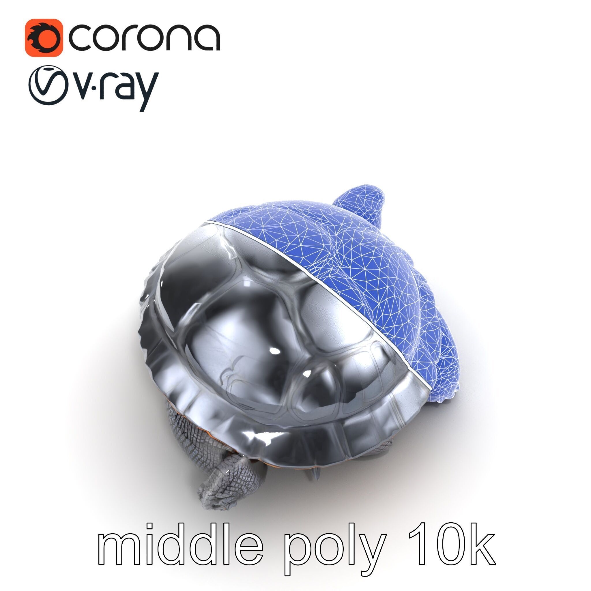 Leatherback Turtle Detailed Shell model pack Low-poly 3D model_14