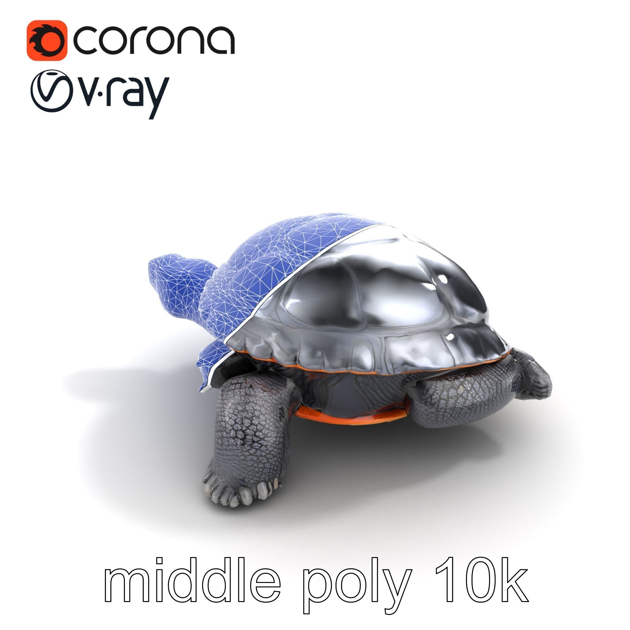 Leatherback Turtle Detailed Shell model pack Low-poly 3D model_11
