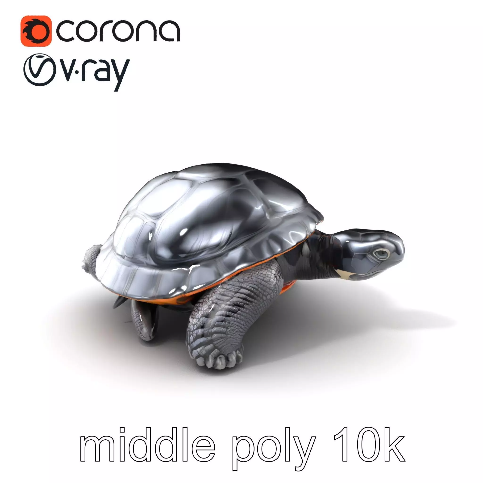 Leatherback Turtle Detailed Shell model pack Low-poly 3D model_0