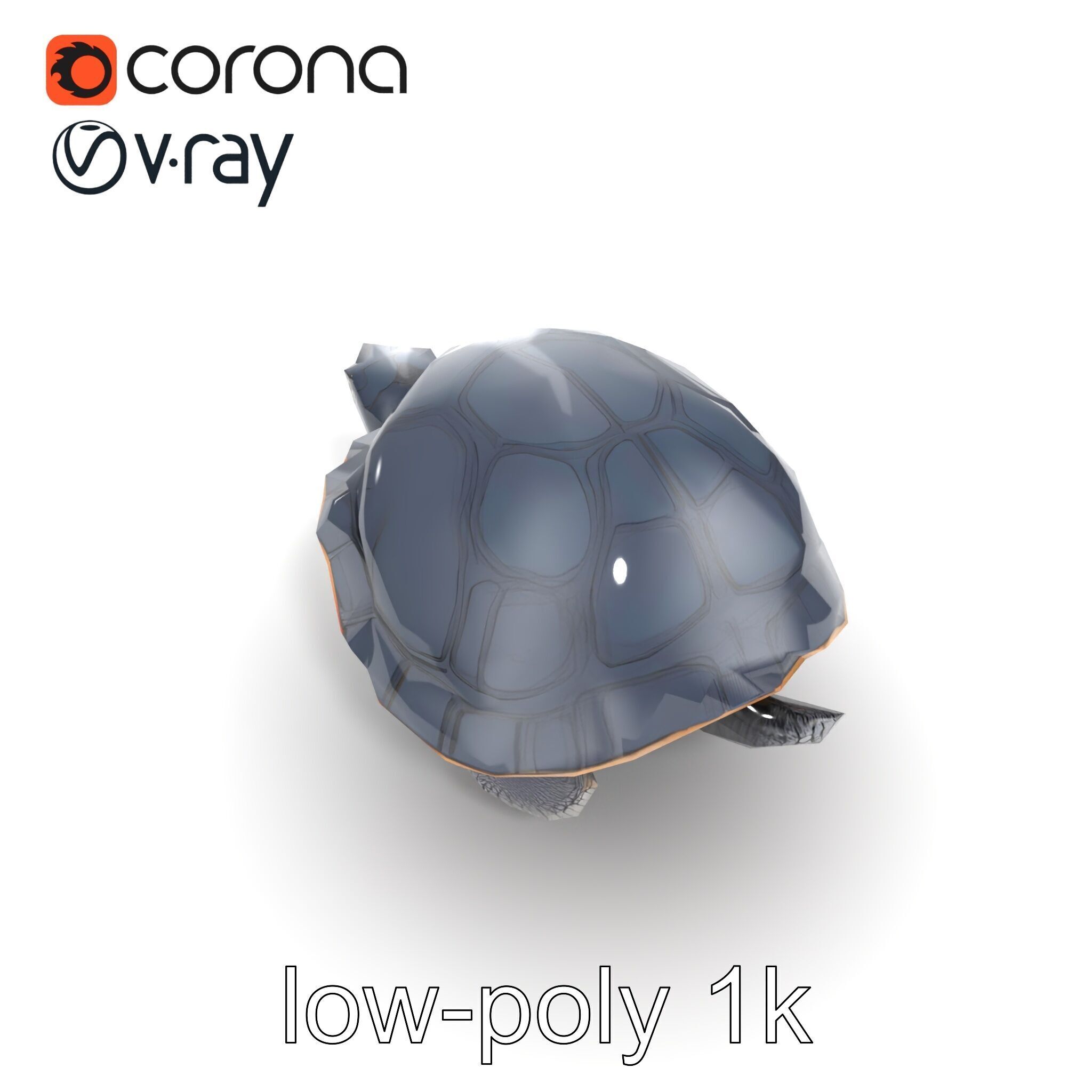 Leatherback Turtle Detailed Shell model pack Low-poly 3D model_22