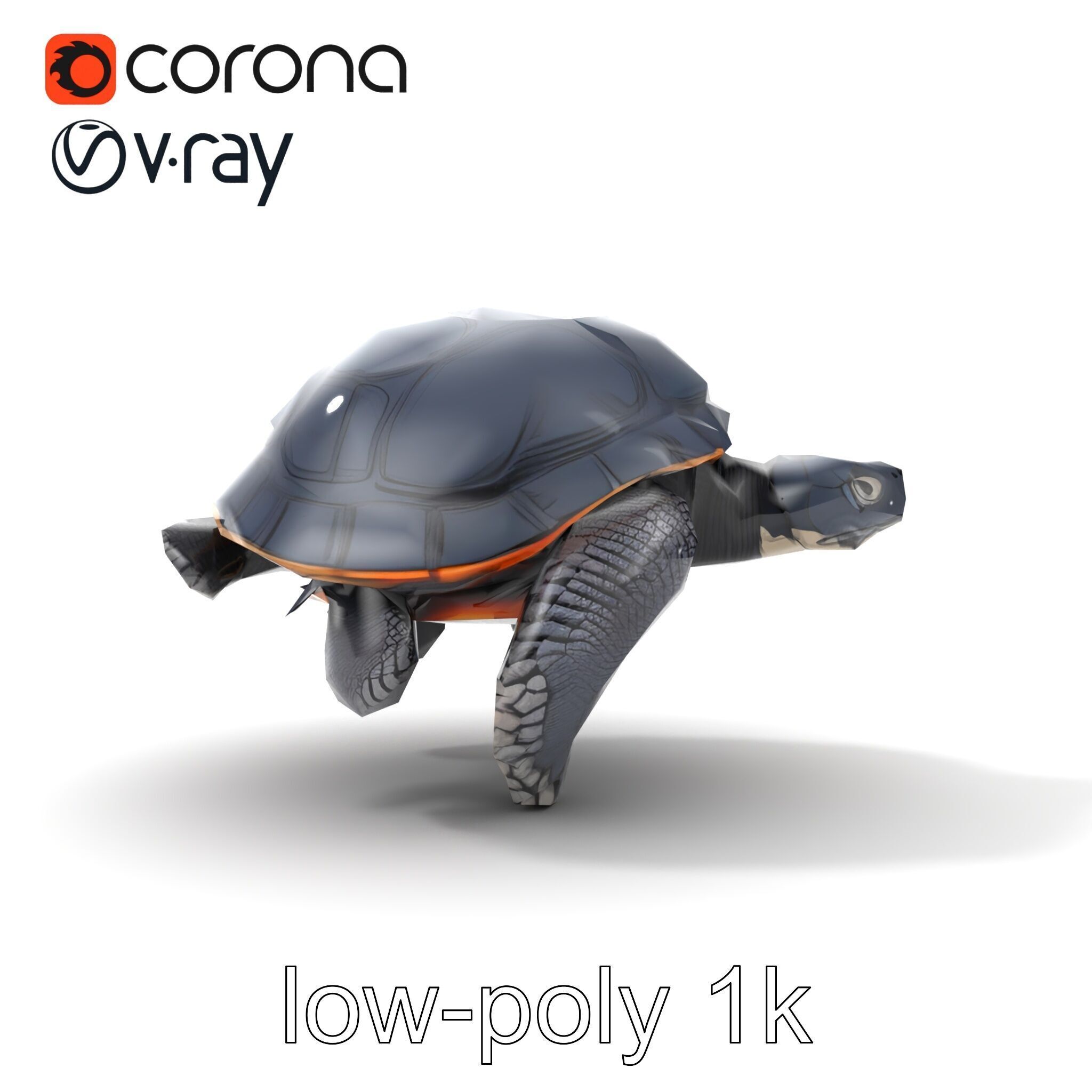 Leatherback Turtle Detailed Shell model pack Low-poly 3D model_25