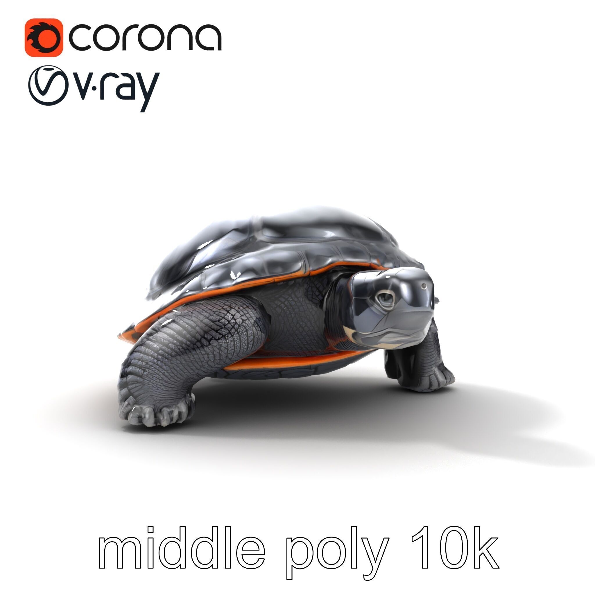 Leatherback Turtle Detailed Shell model pack Low-poly 3D model_23