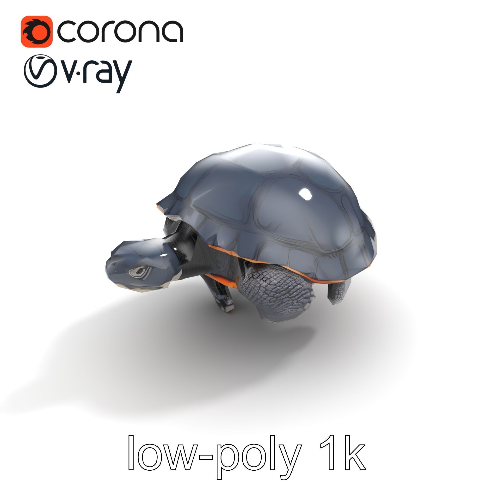 Leatherback Turtle Detailed Shell model pack Low-poly 3D model_9