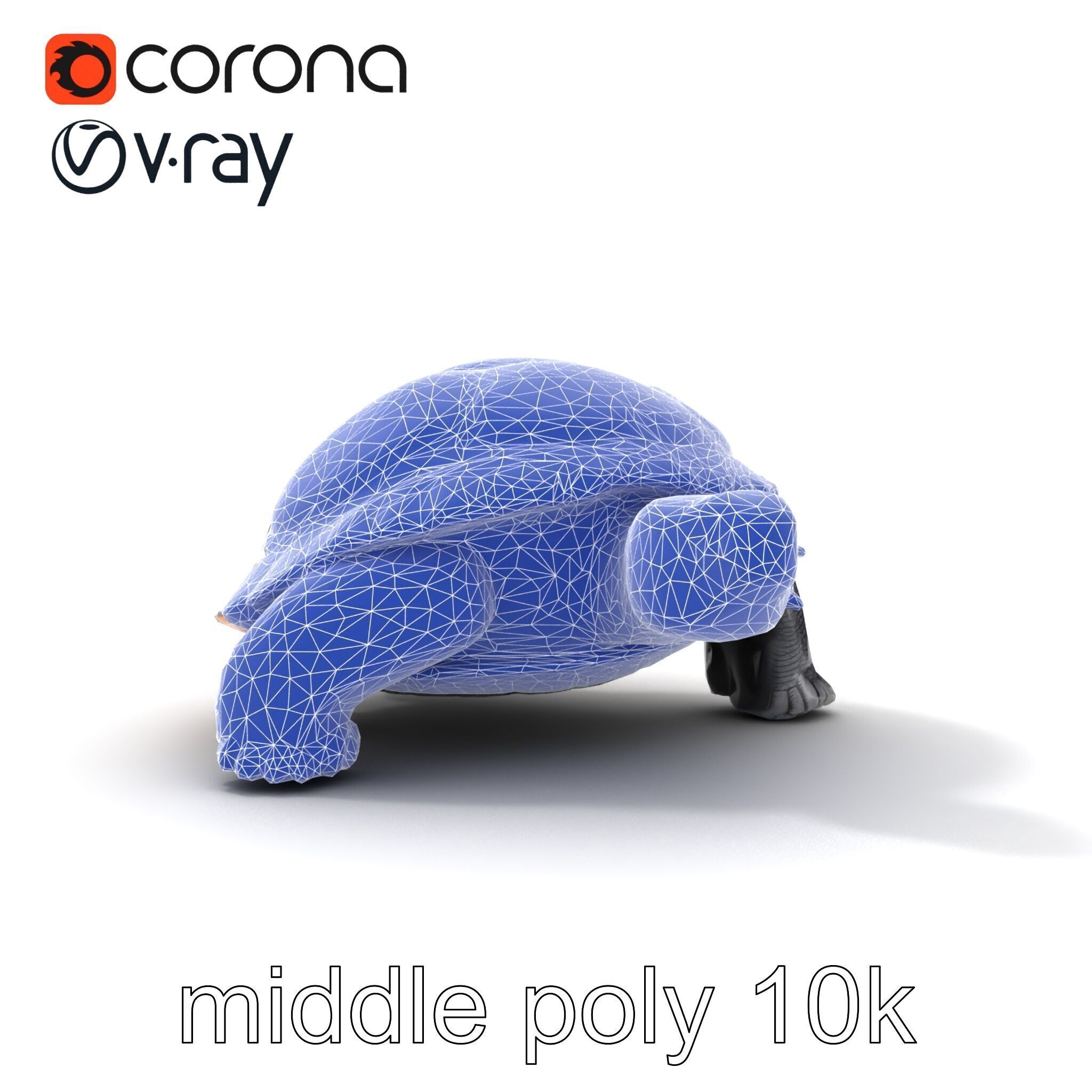 Leatherback Turtle Detailed Shell model pack Low-poly 3D model_27