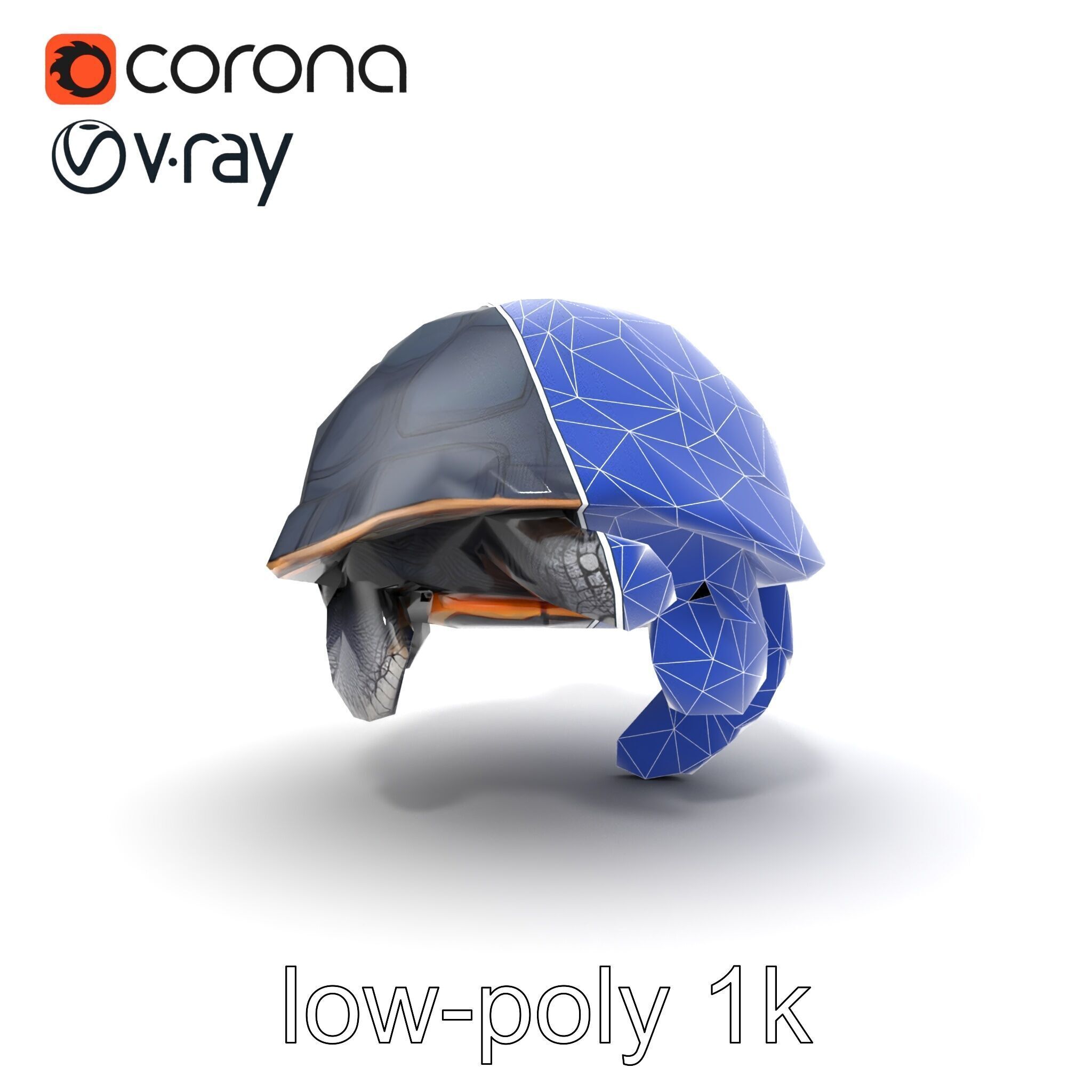 Leatherback Turtle Detailed Shell model pack Low-poly 3D model_18