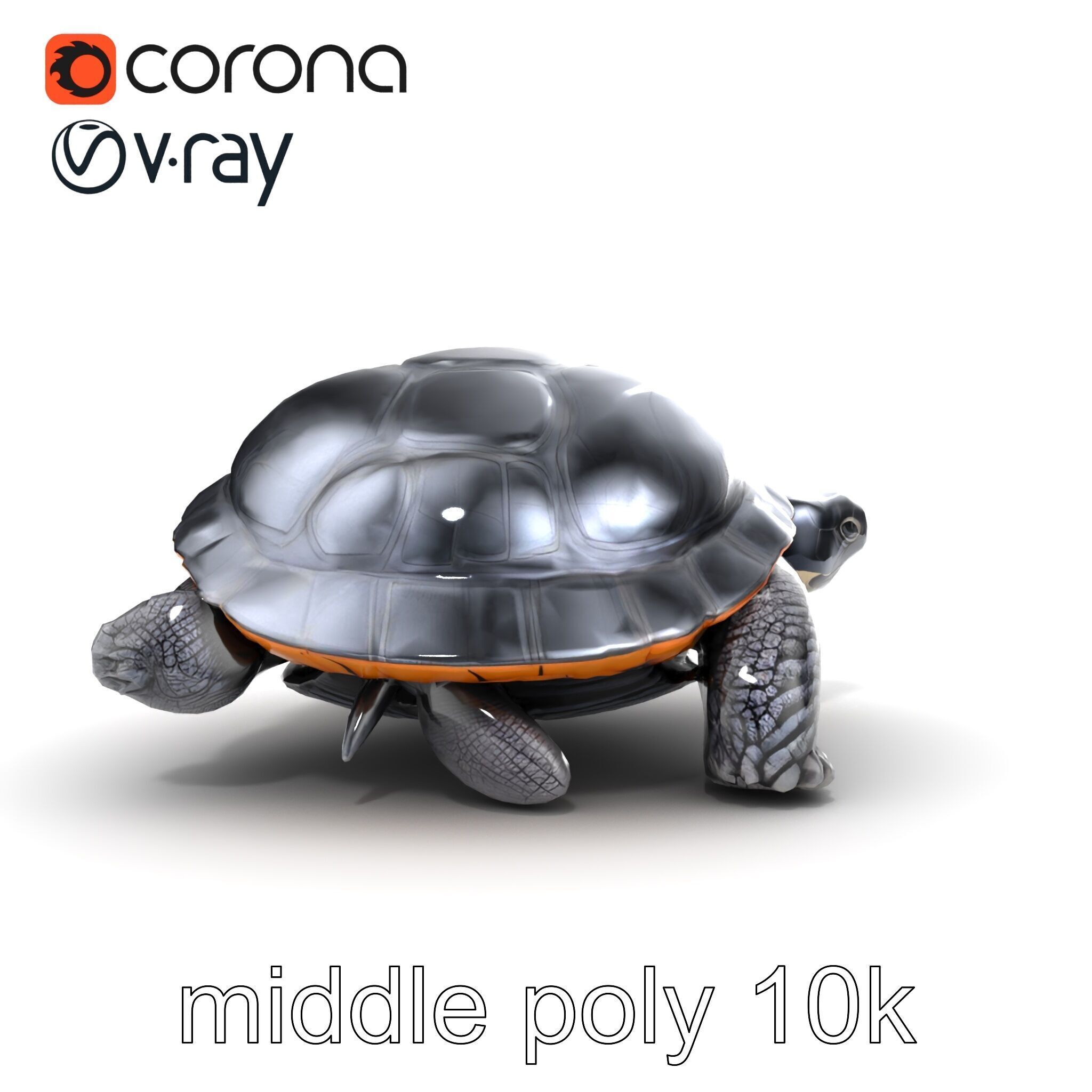 Leatherback Turtle Detailed Shell model pack Low-poly 3D model_15