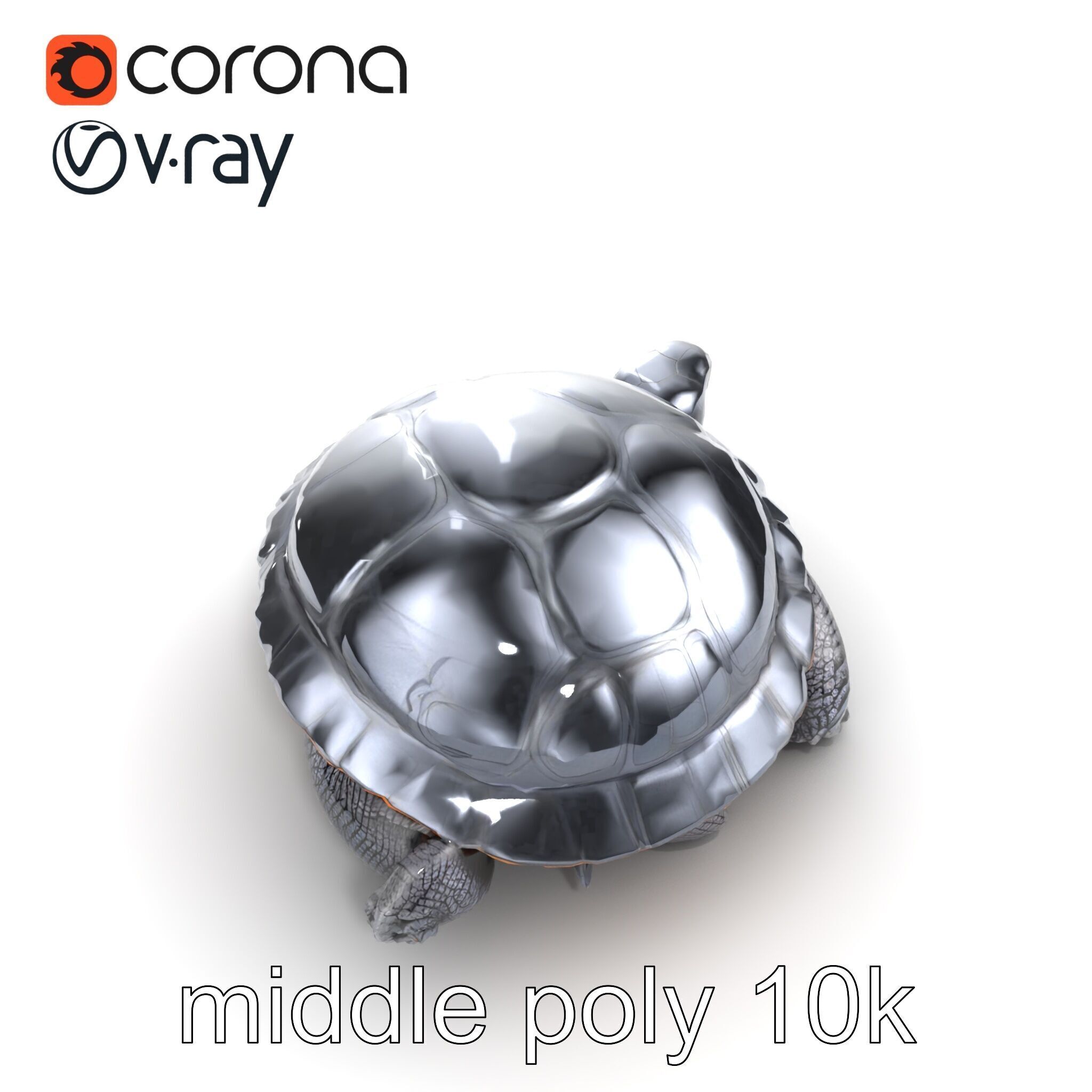 Leatherback Turtle Detailed Shell model pack Low-poly 3D model_20