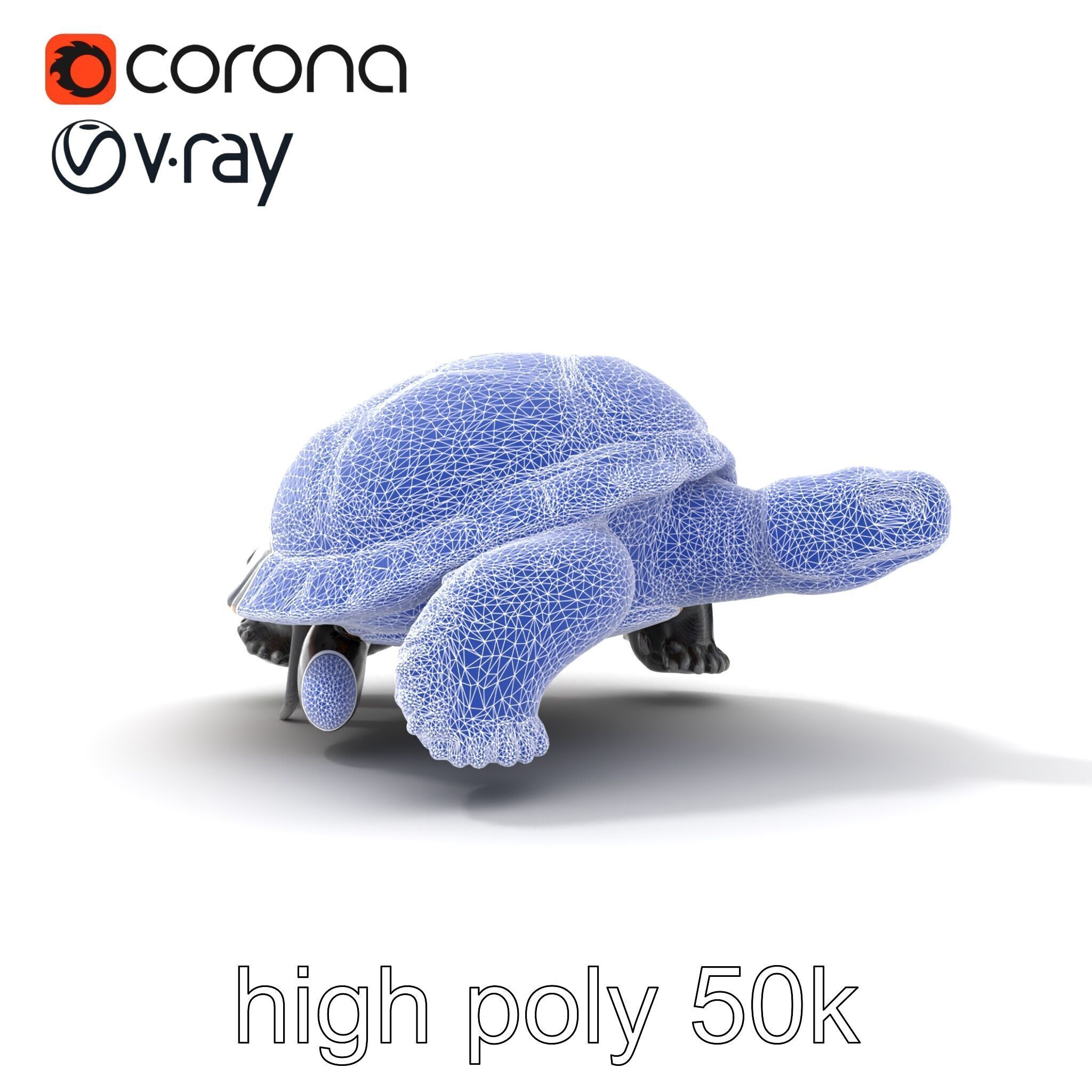 Leatherback Turtle Detailed Shell model pack Low-poly 3D model_24