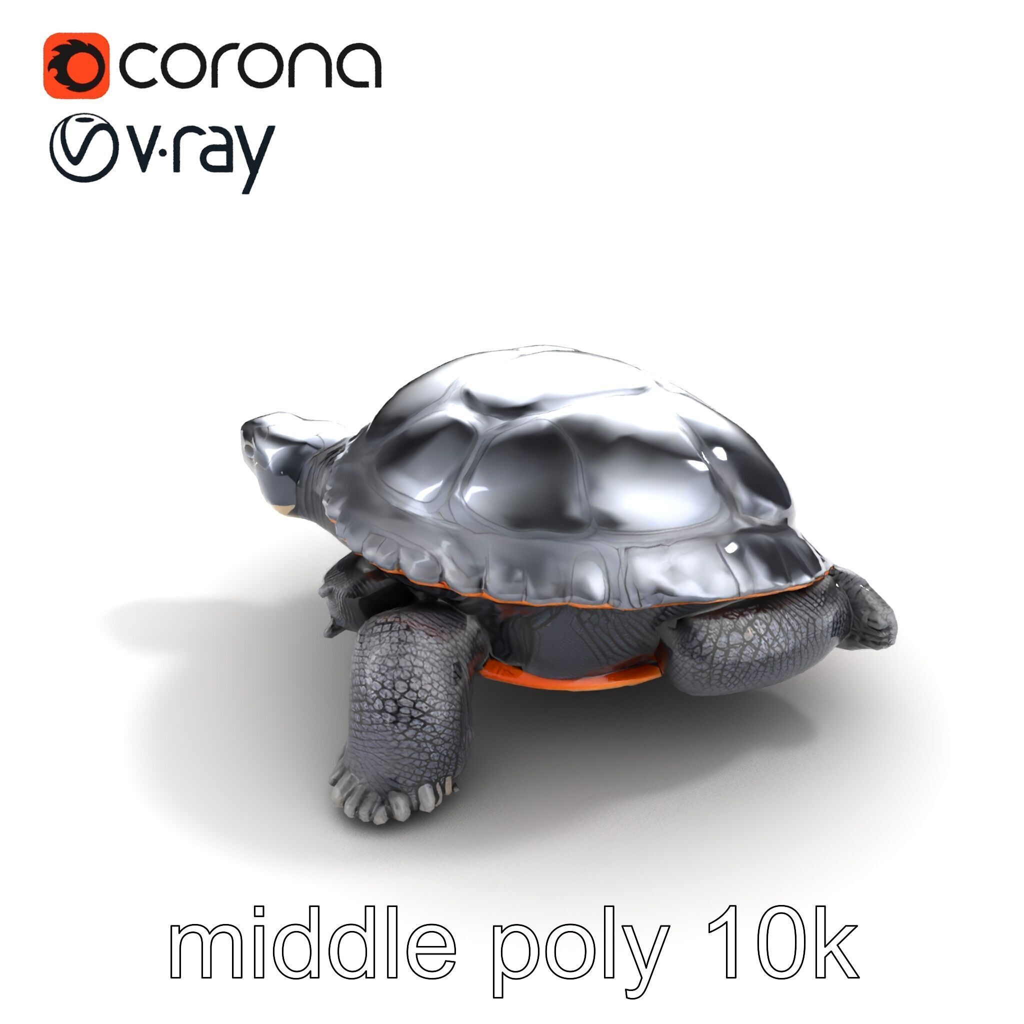 Leatherback Turtle Detailed Shell model pack Low-poly 3D model_8