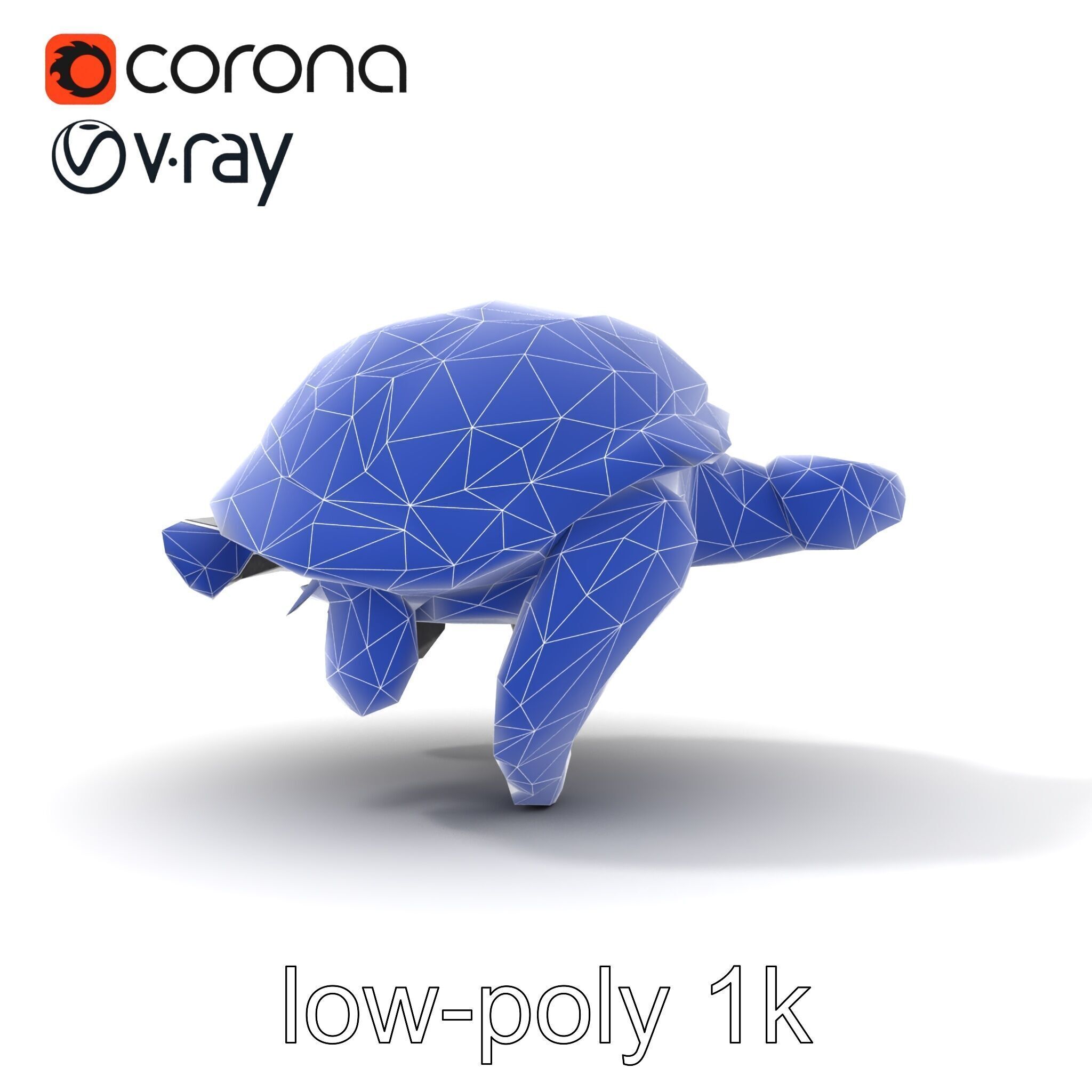 Leatherback Turtle Detailed Shell model pack Low-poly 3D model_29