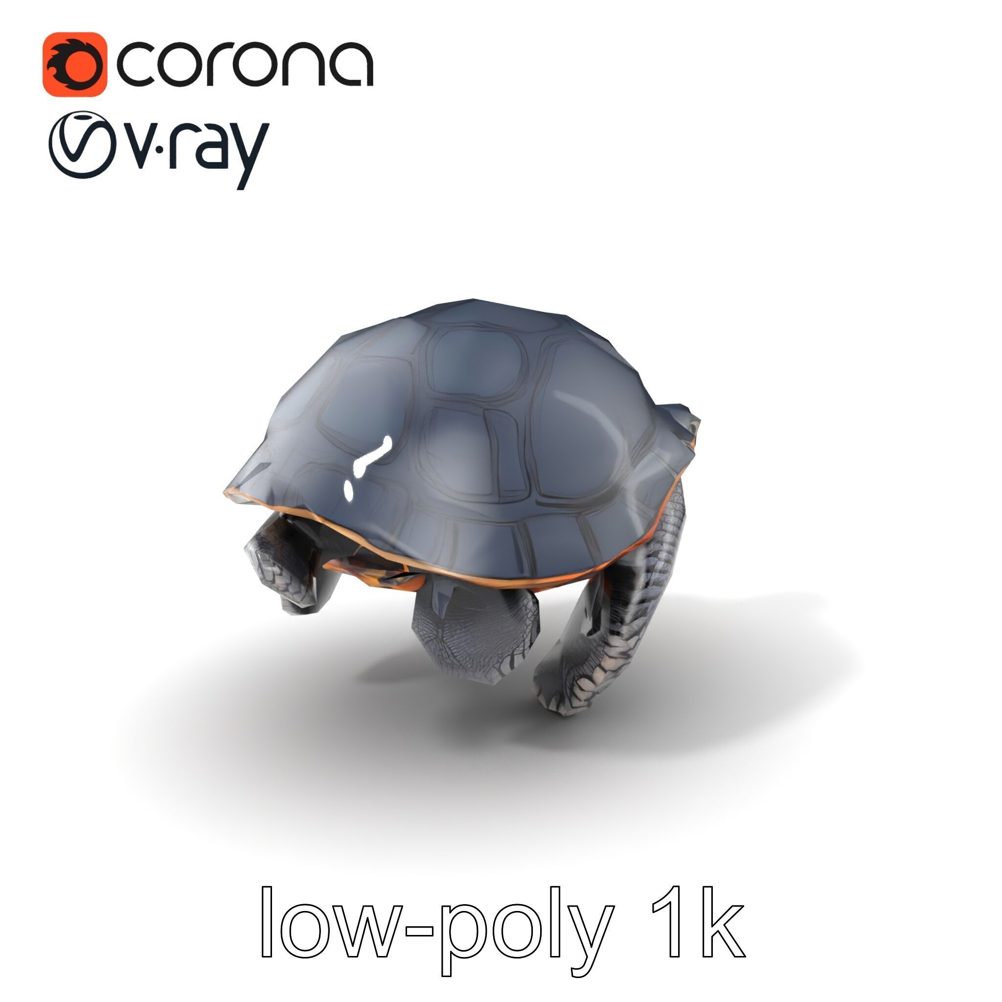 Leatherback Turtle Detailed Shell model pack Low-poly 3D model_5
