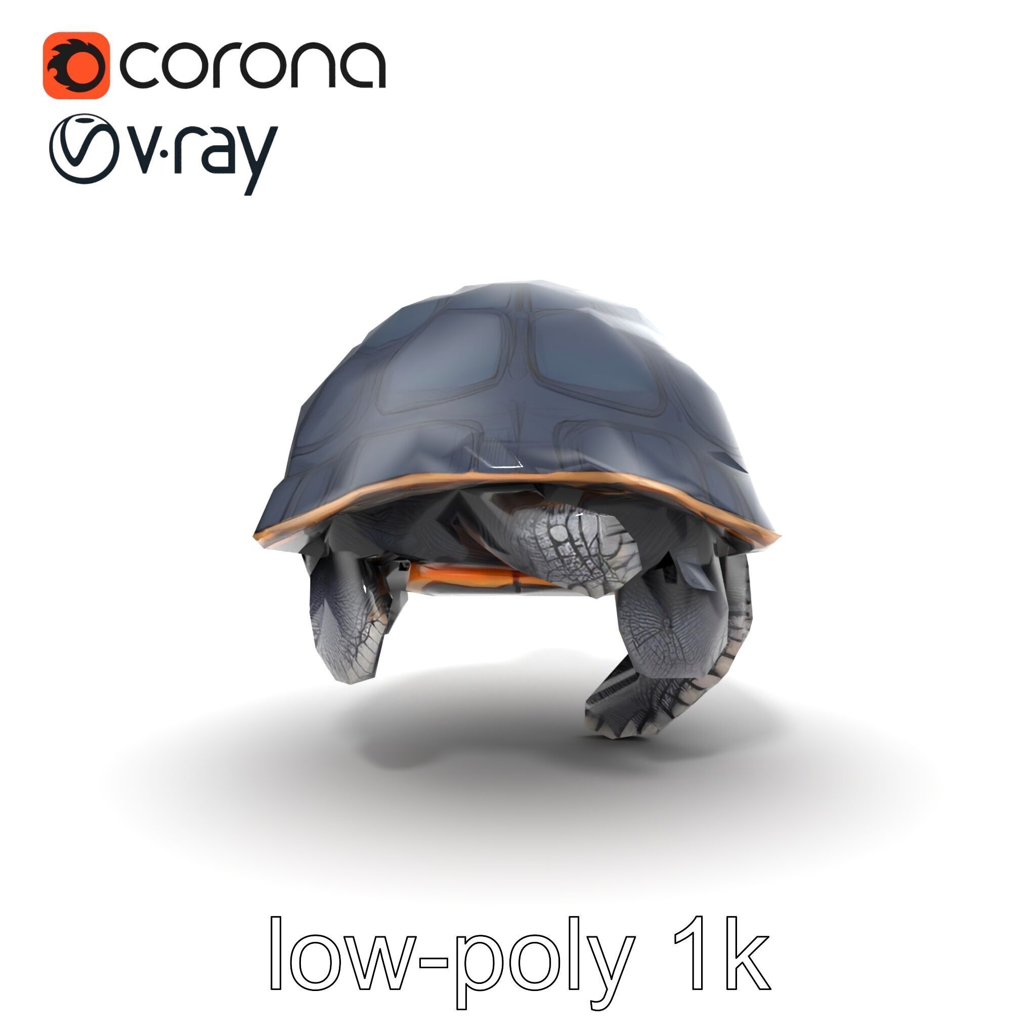 Leatherback Turtle Detailed Shell model pack Low-poly 3D model_30