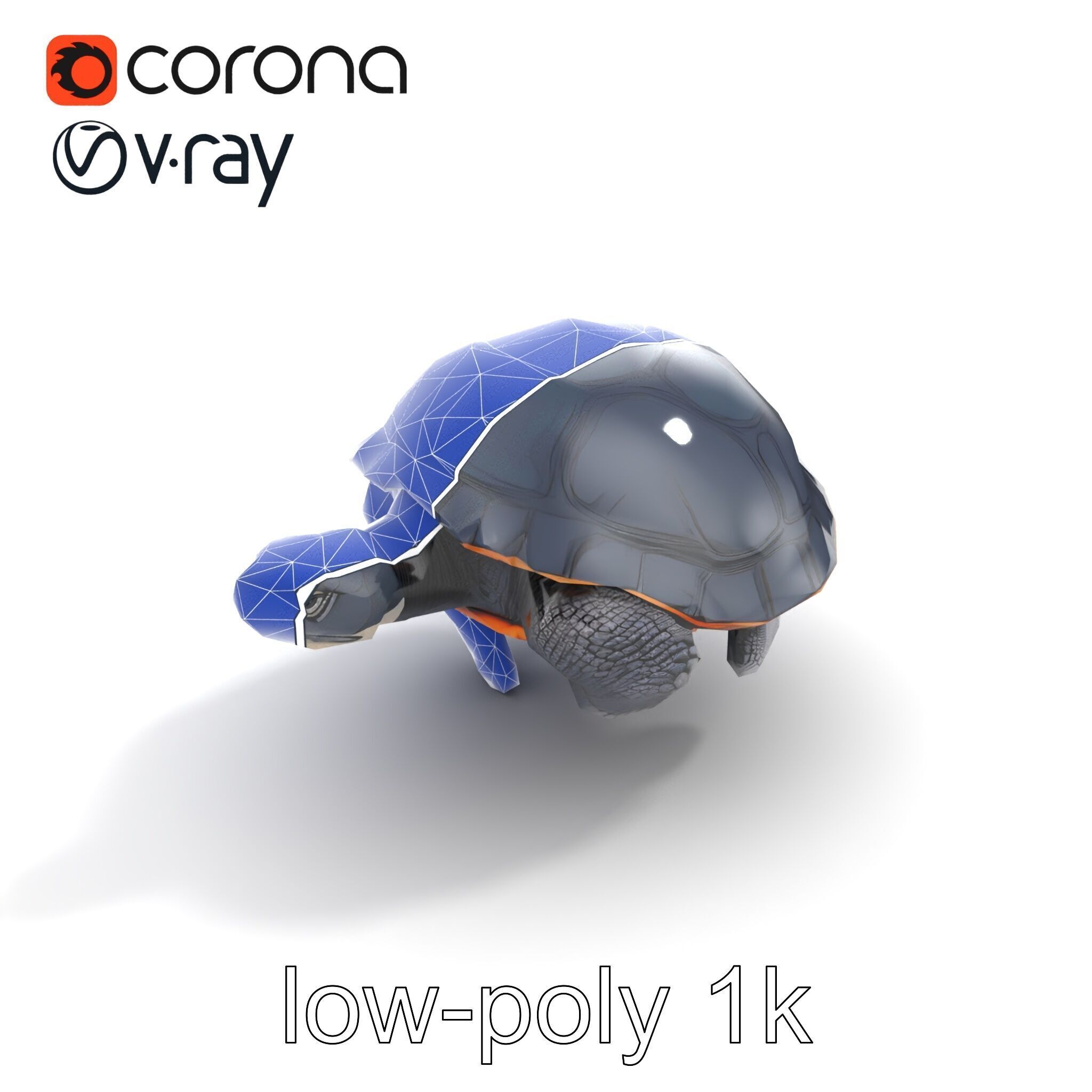 Leatherback Turtle Detailed Shell model pack Low-poly 3D model_16