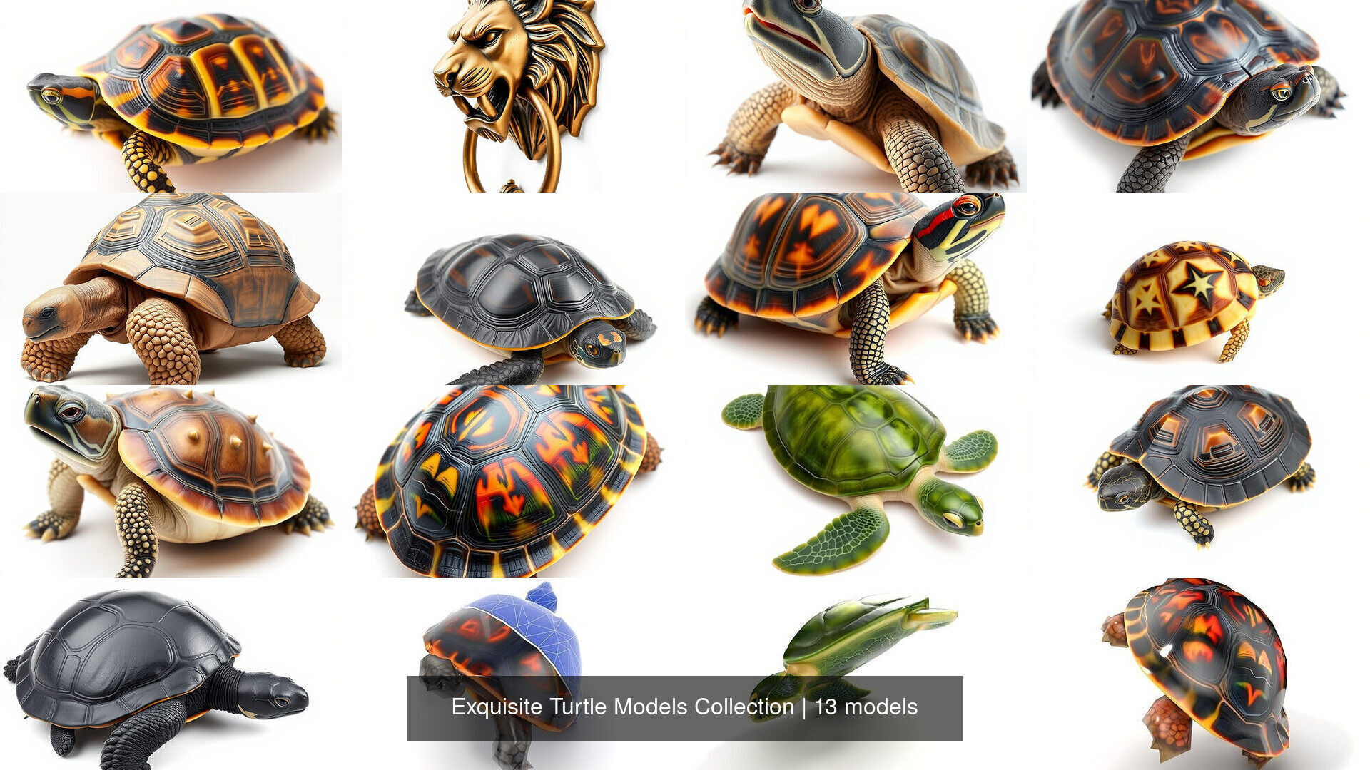 Exquisite Turtle Models Collection _16