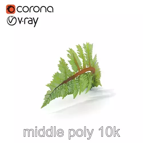 Realistic Davallia Fern Leaves model pack