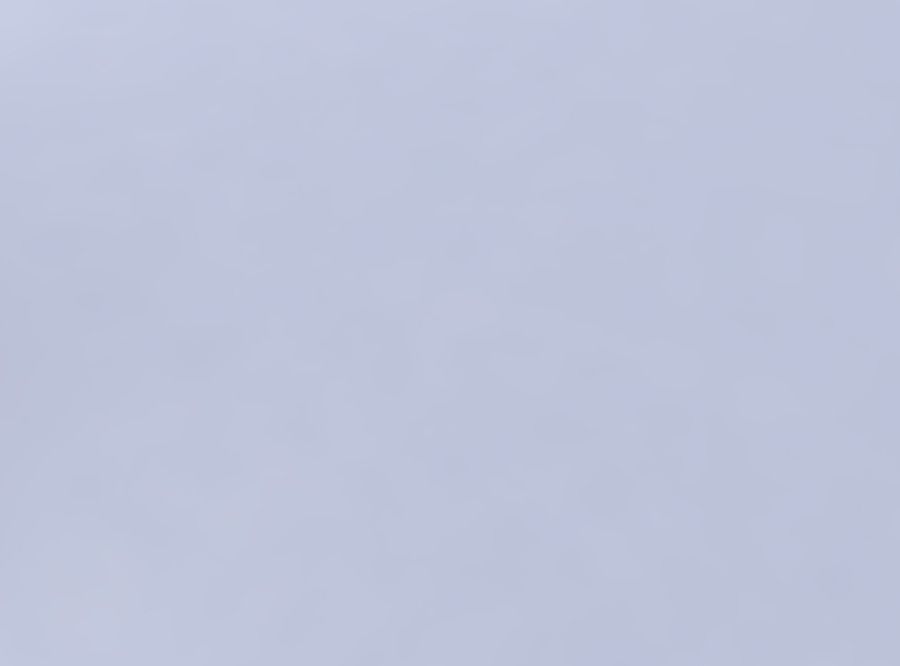 Bowl wide with twisted reptile skin with holes 3D print model_1