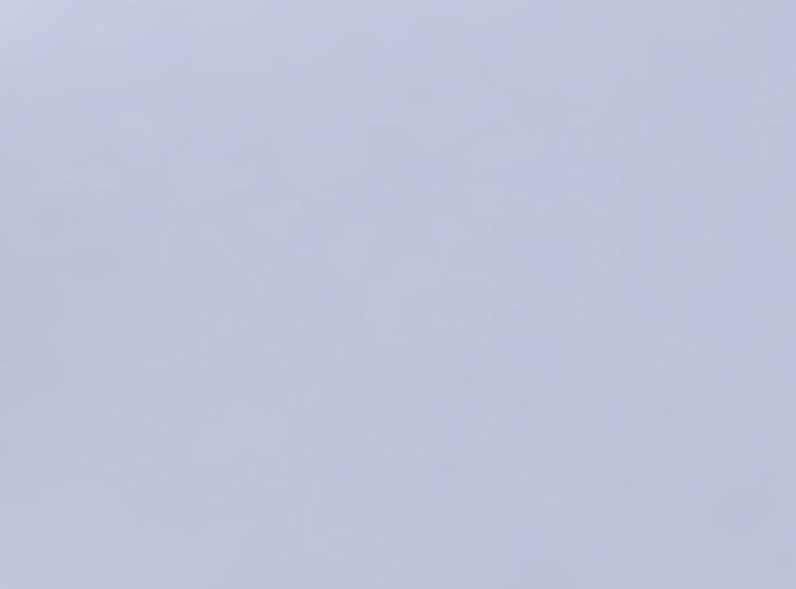 Bowl wide with twisted reptile skin with holes 3D print model_6